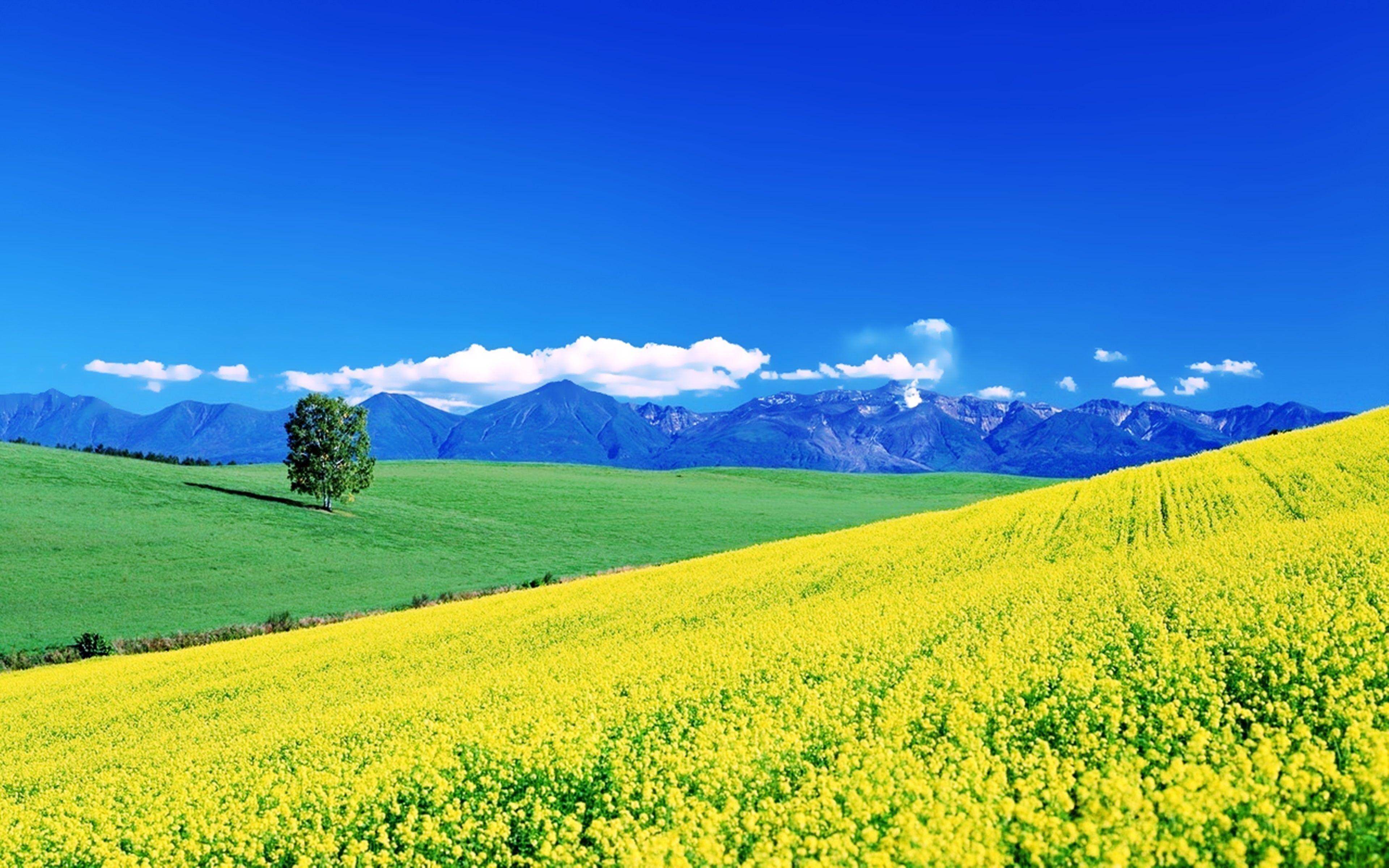 3840x2400 Trees, Hills, Landscapes, Earth, Green, Mountains, Grass, Fields