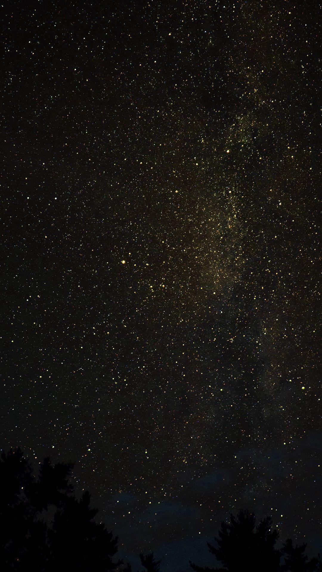 1080x1920 iPhone Wallpaper Black And Gold