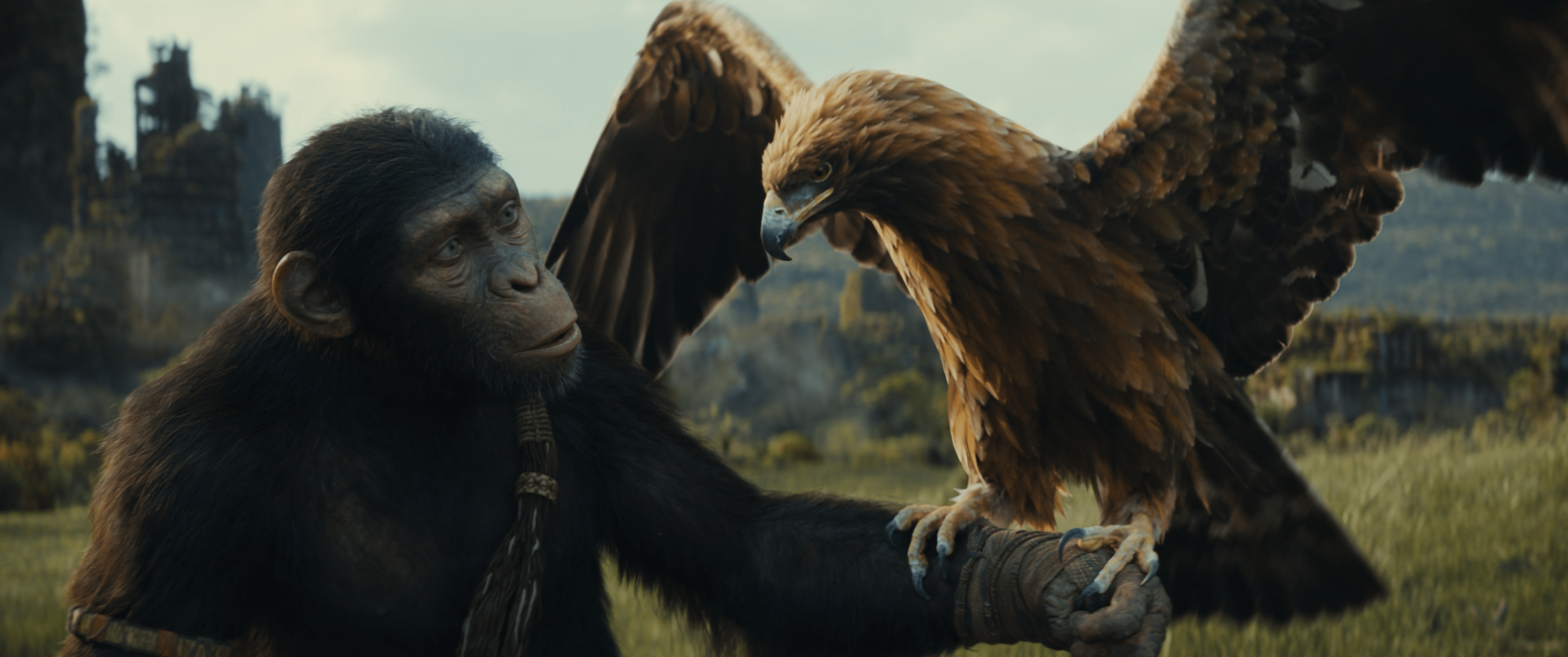 4096x1716 Planet of the Apes Kingdom HD Wallpaper