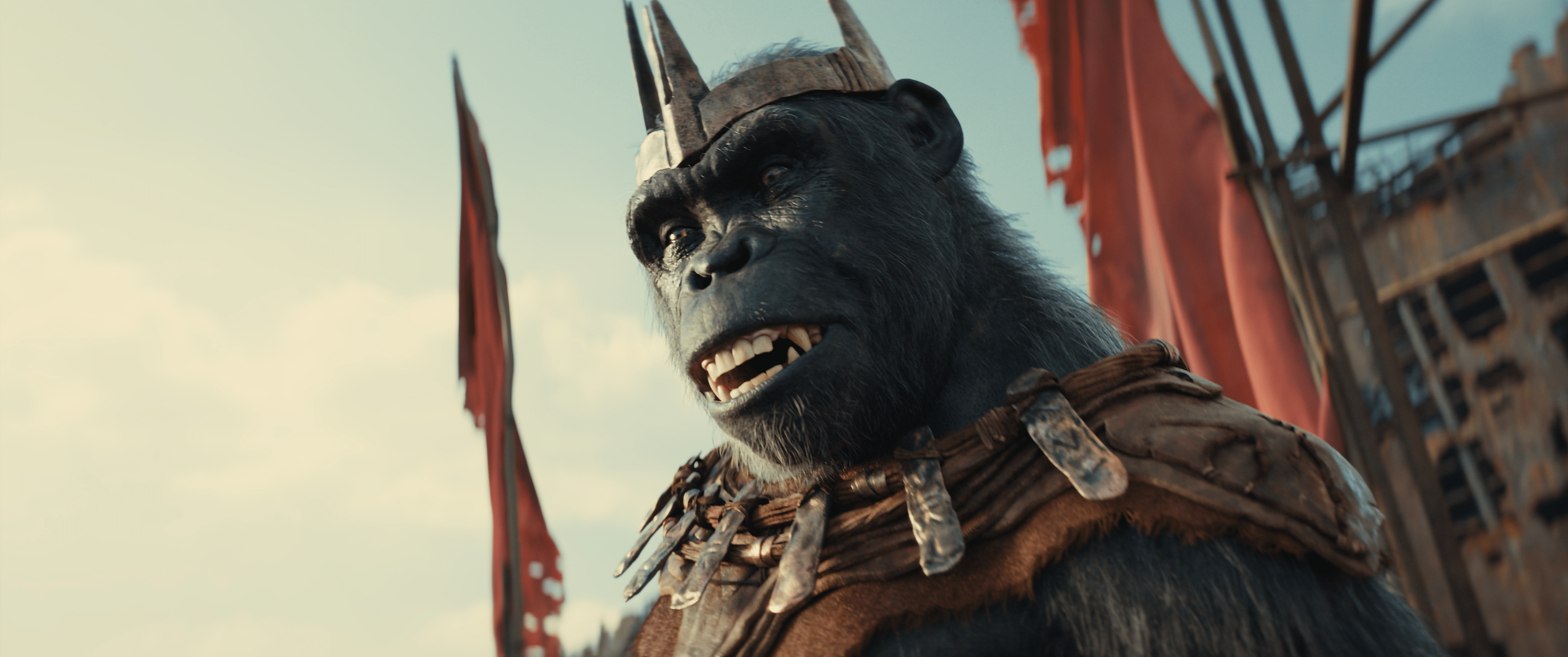 4096x1716 Apes Kingdom HD Desktop Wallpaper