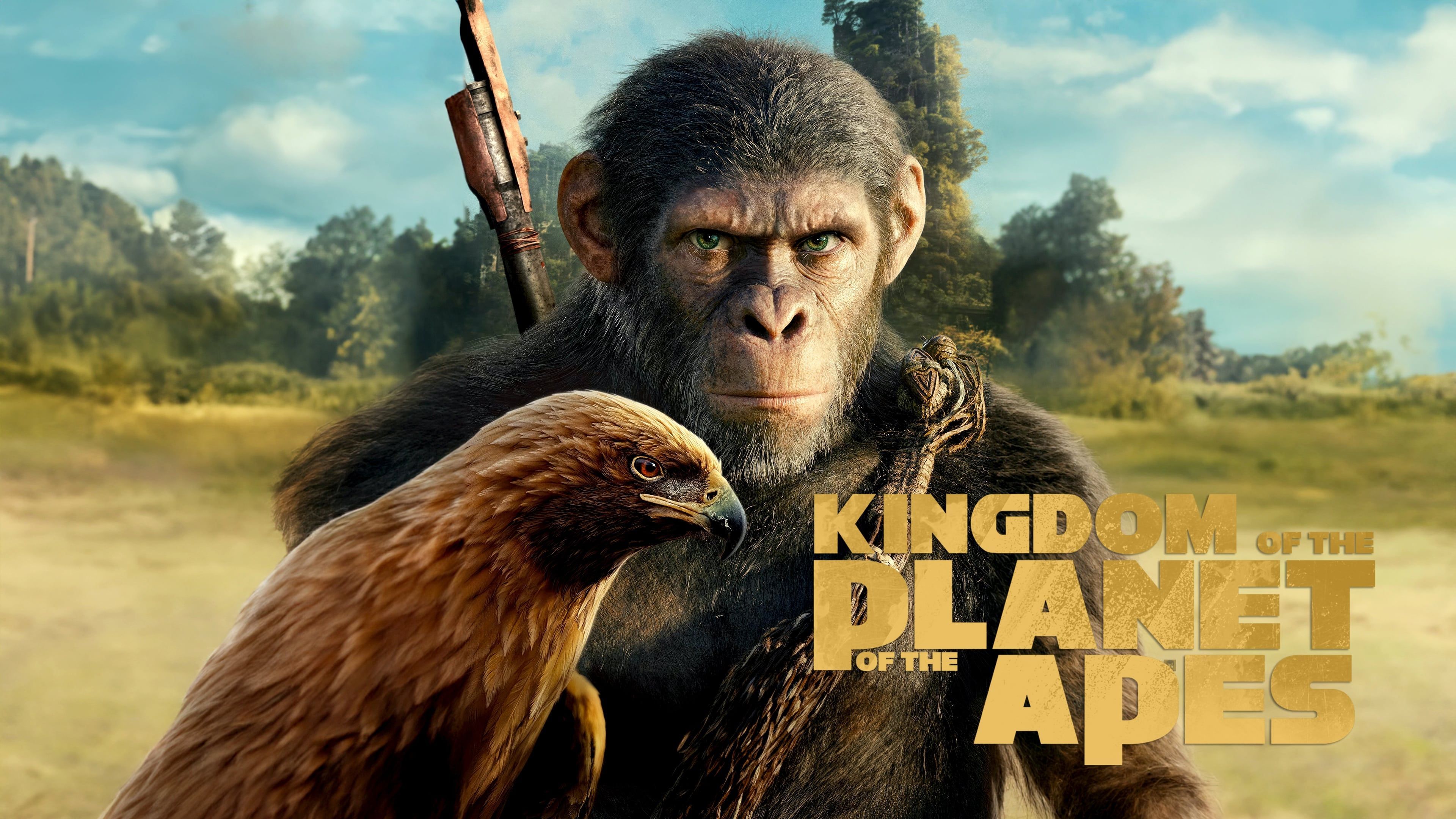 3840x2160 Apes Wallpaper