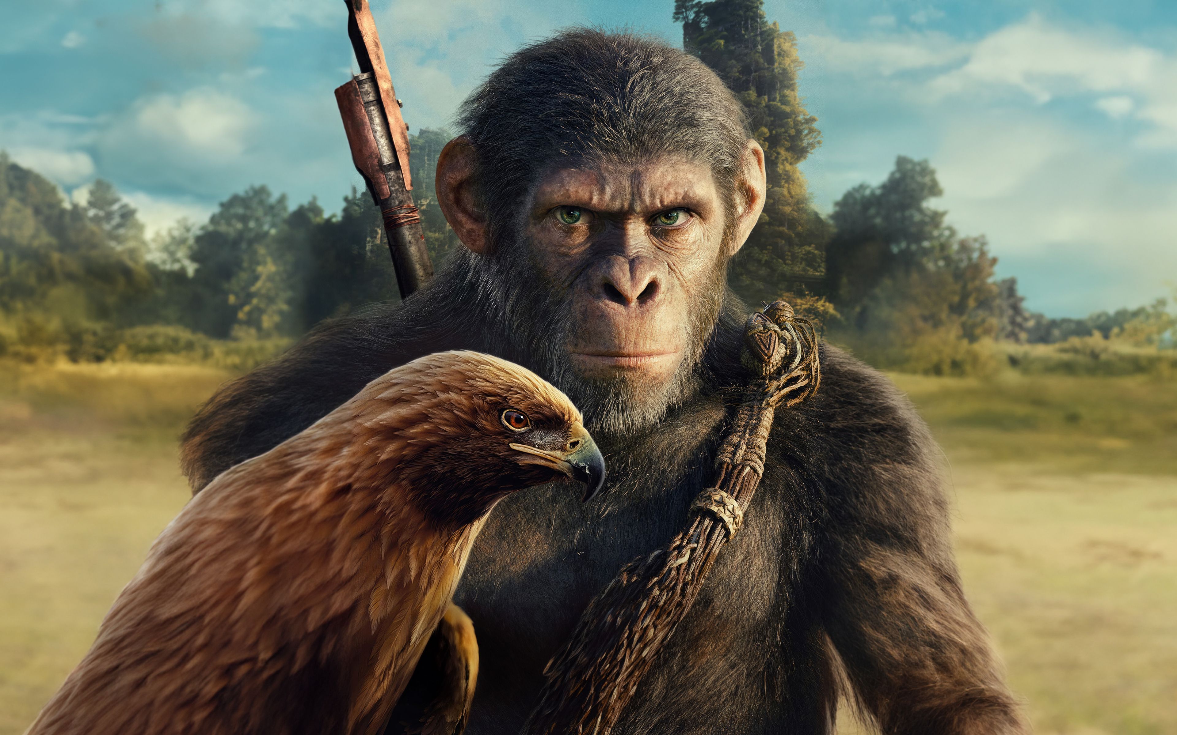 3840x2400 Apes HD Wallpaper