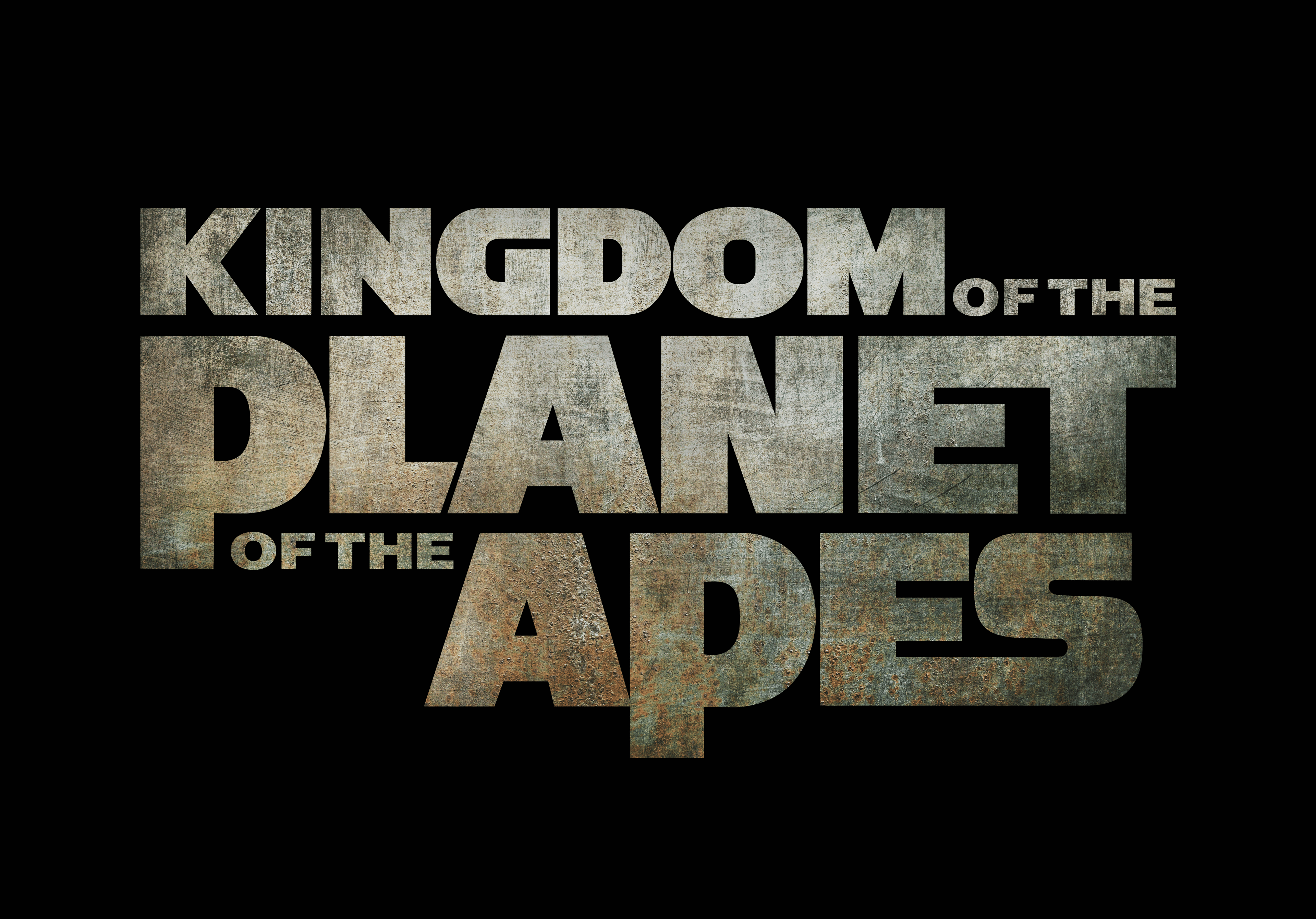 3840x2681 Apes 4k Wallpaper