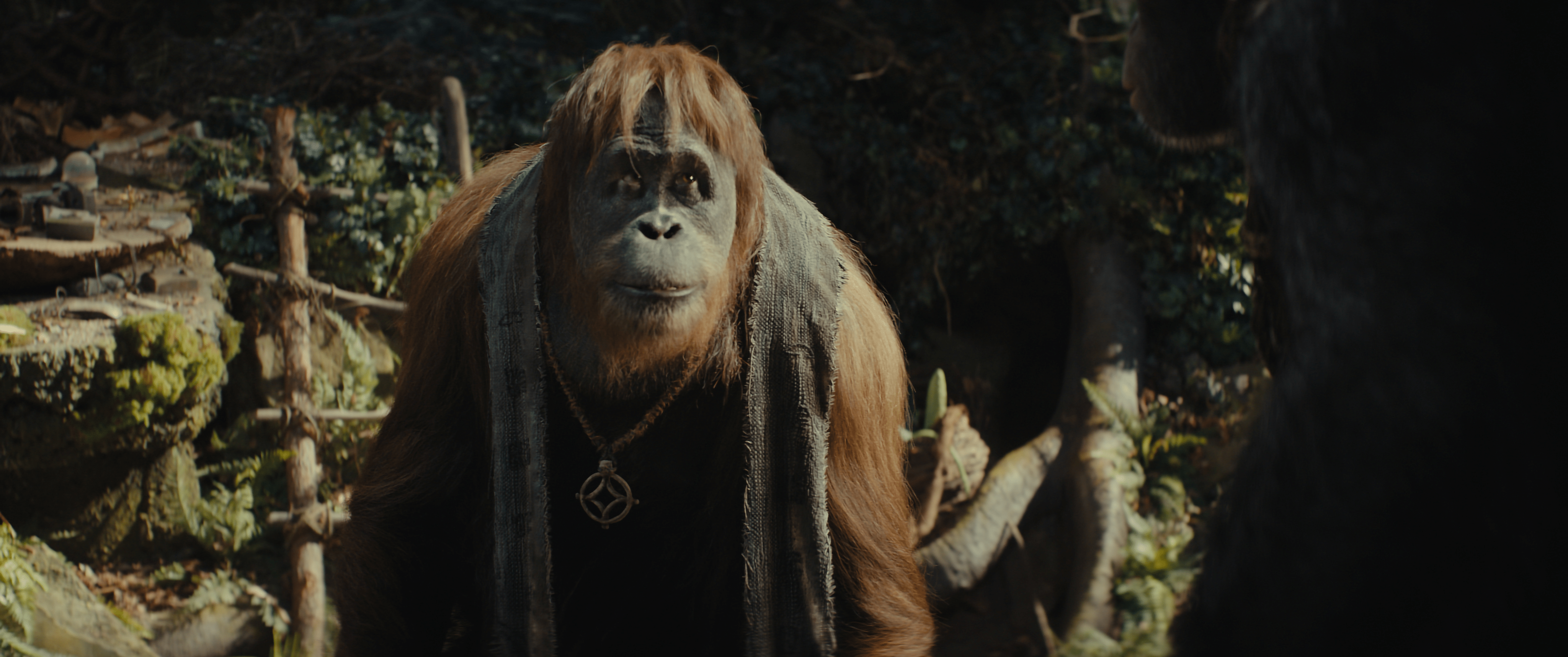 4096x1716 Apes HD Wallpaper