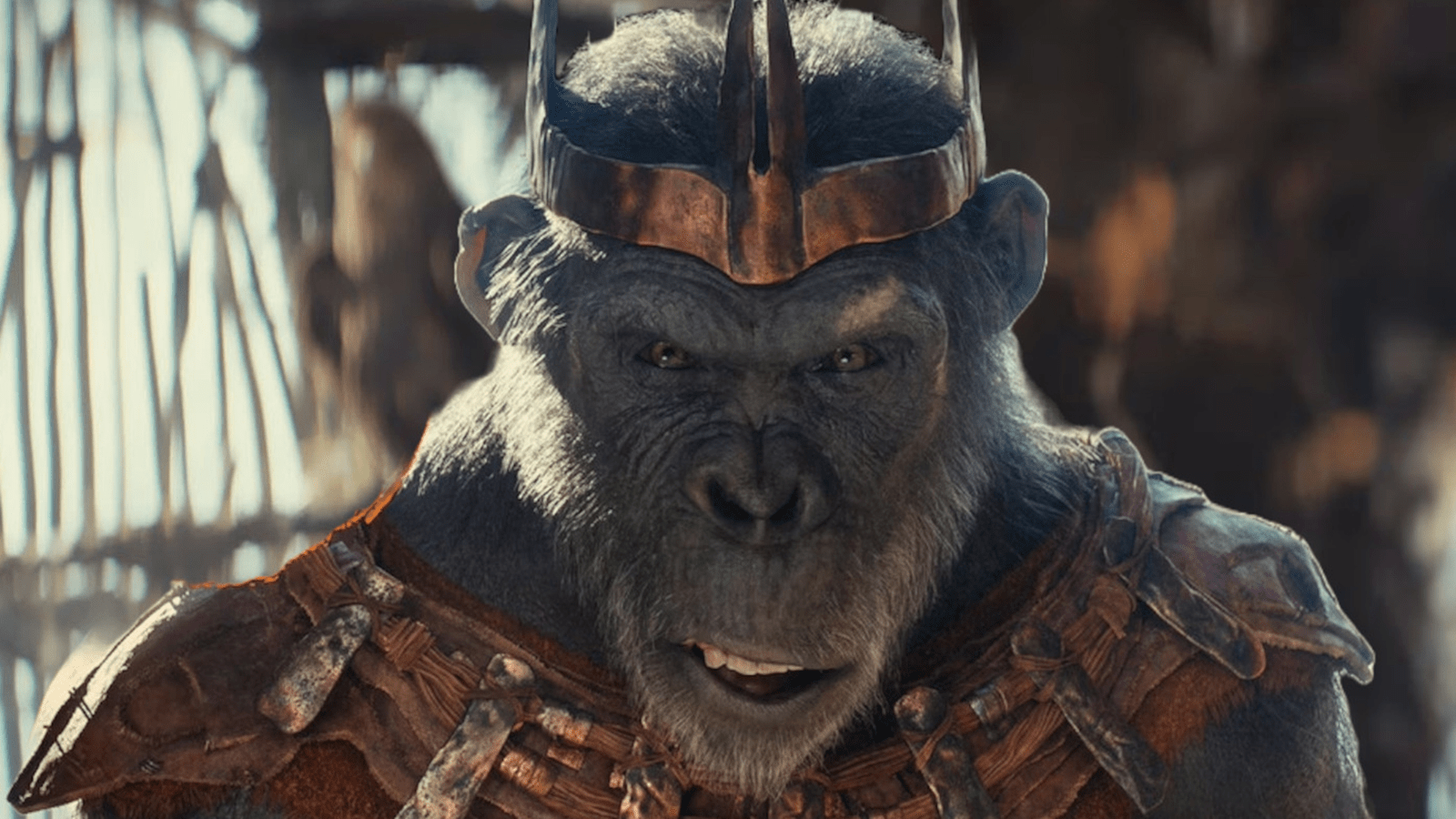 1600x900 Kingdom of the Planet of the Apes' one