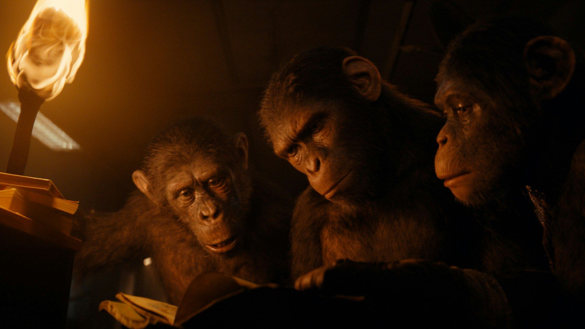 1920x1080 the Apes. Alamo Drafthouse Cinema
