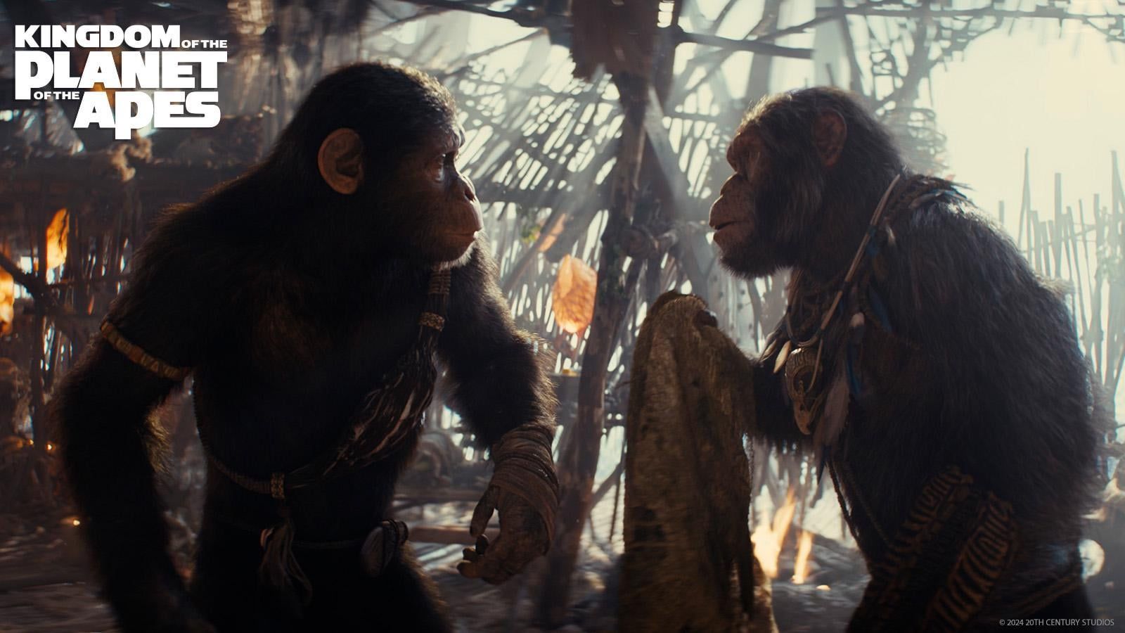 1600x900 Kingdom of the Planet of the Apes