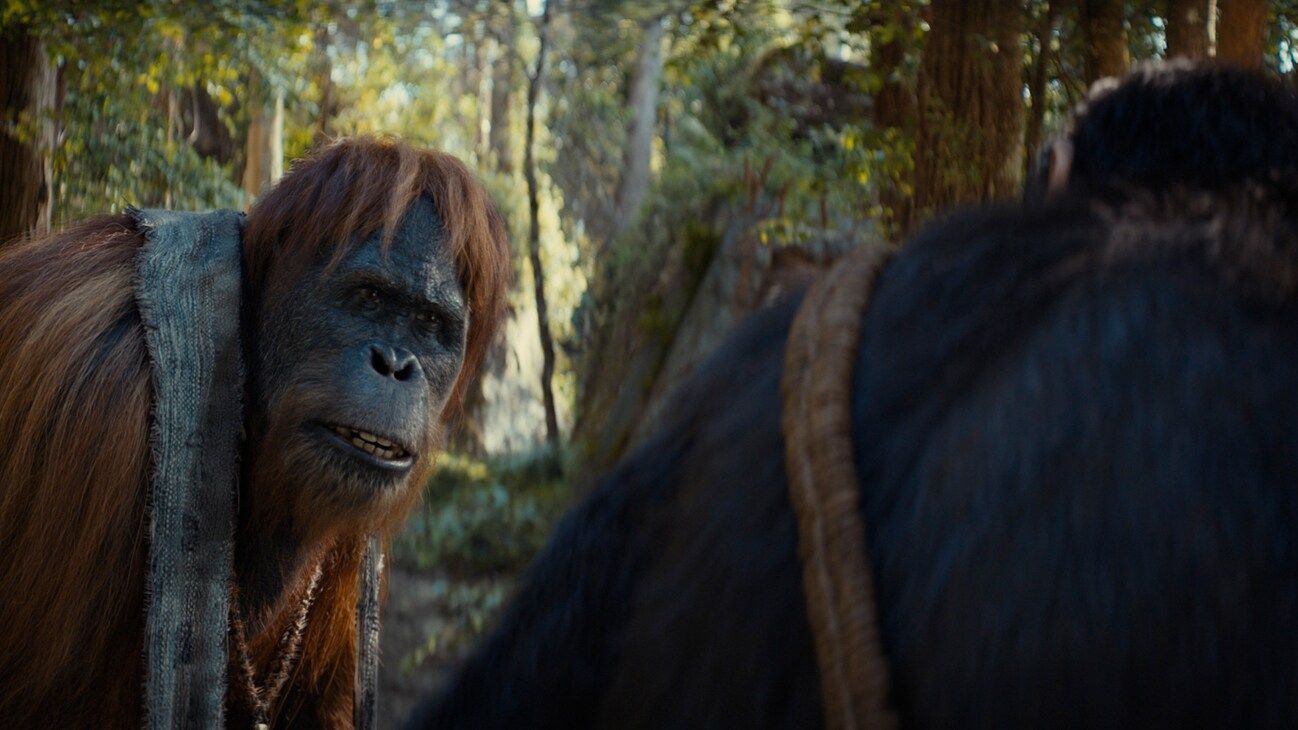 1298x730 Kingdom of the Planet of the Apes