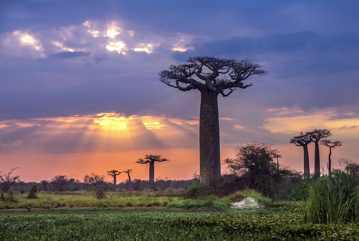 Madagascar Landscape Wallpapers Top Free Madagascar Landscape 