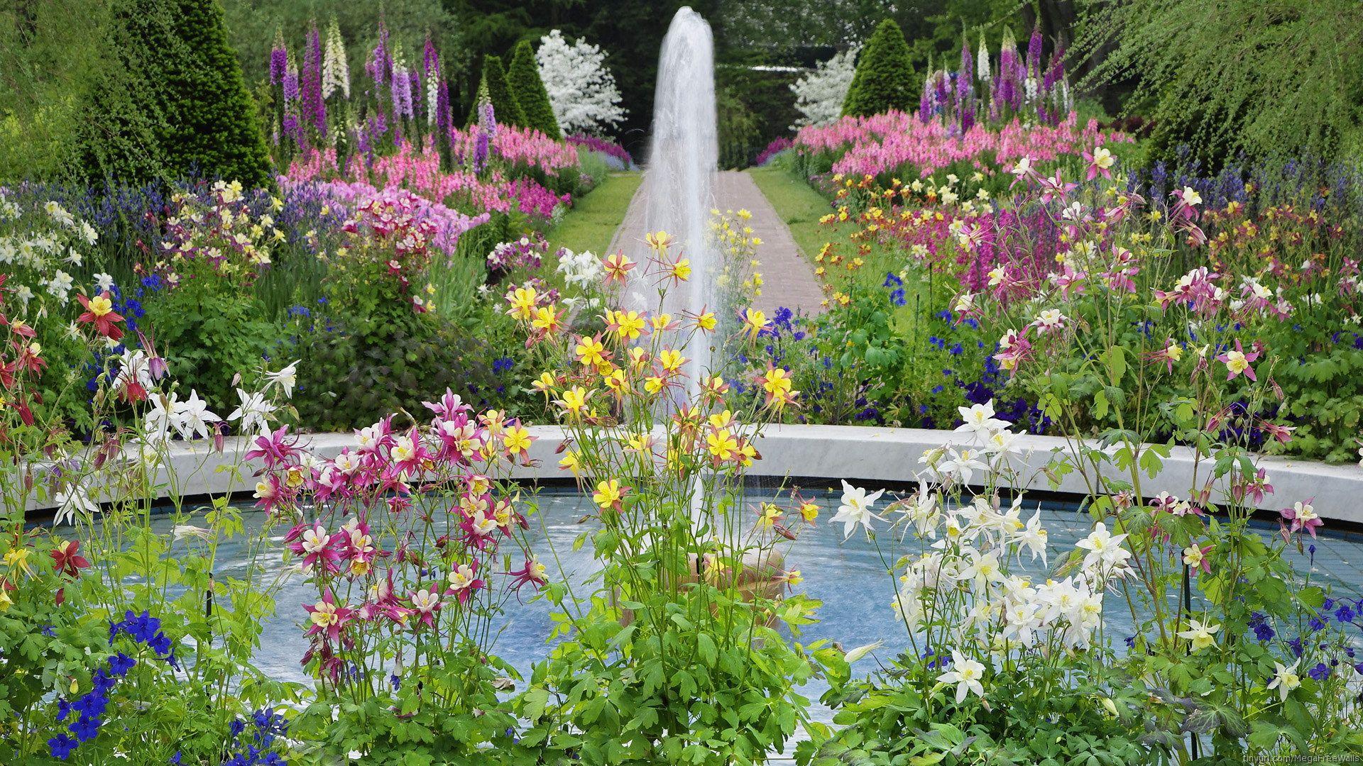 1920x1080 Download Fountain Flower Man Made