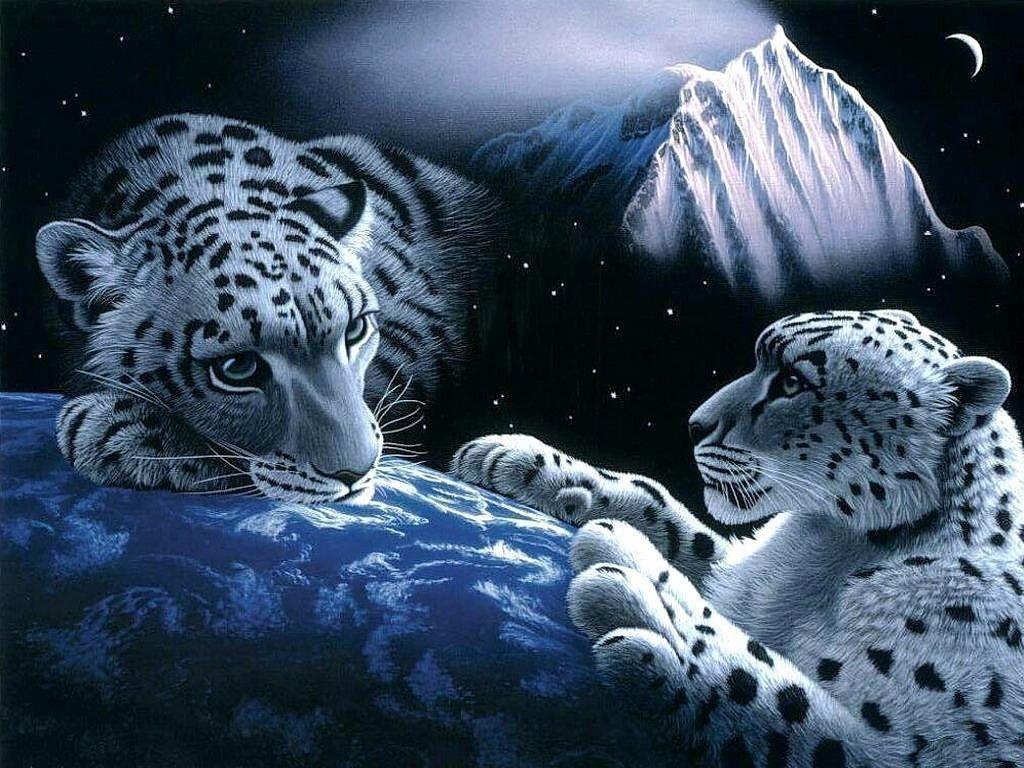 3D Animal Leopard Wallpapers - Top Free 3D Animal Leopard Backgrounds