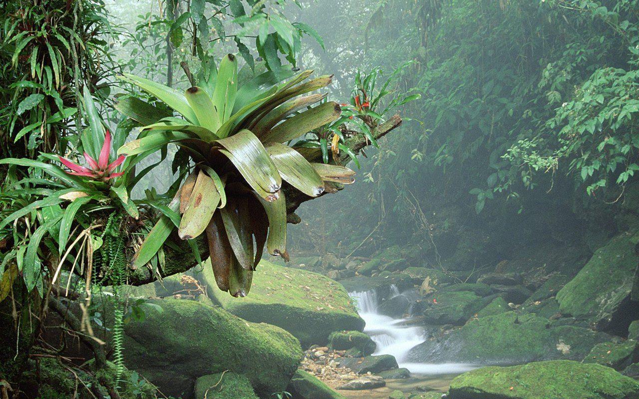 1280x800 Treasures Of The Earth: High Res.Scenic Landscape Photography Vol