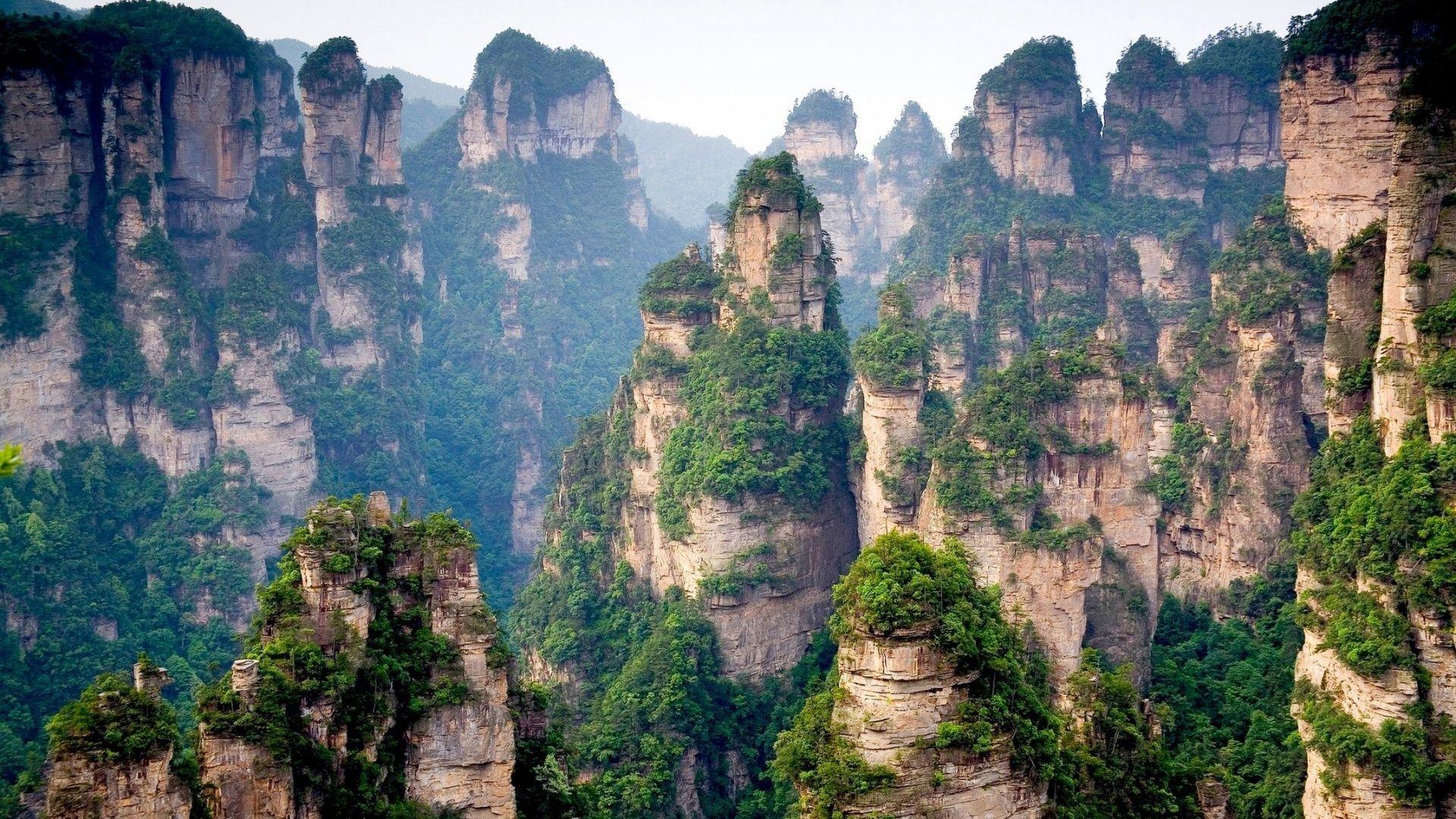 1920x1080 Wallpaper from Nature Category. Wallpaper Studio 10