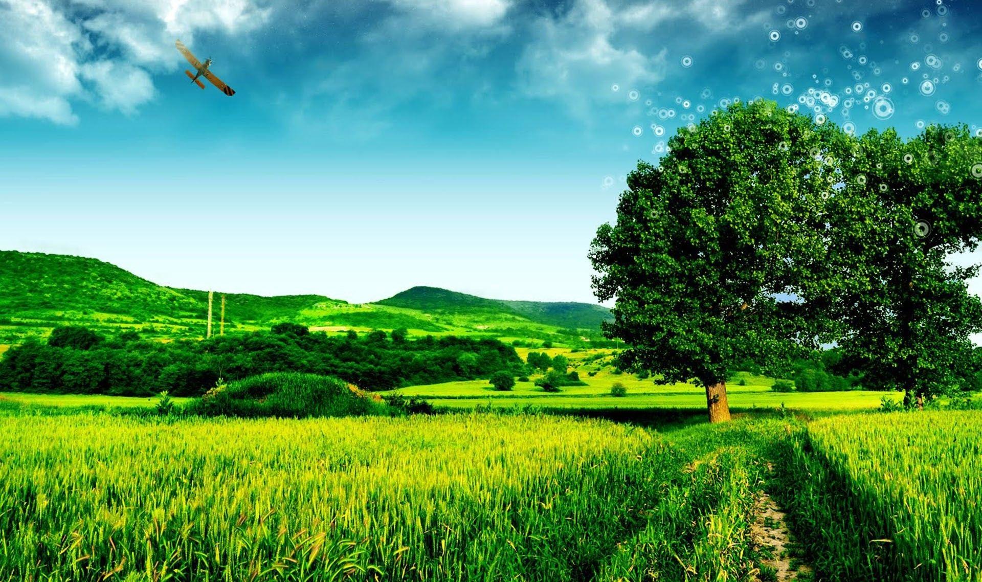 Large Size Nature Wallpapers For Desktop Infoupdate