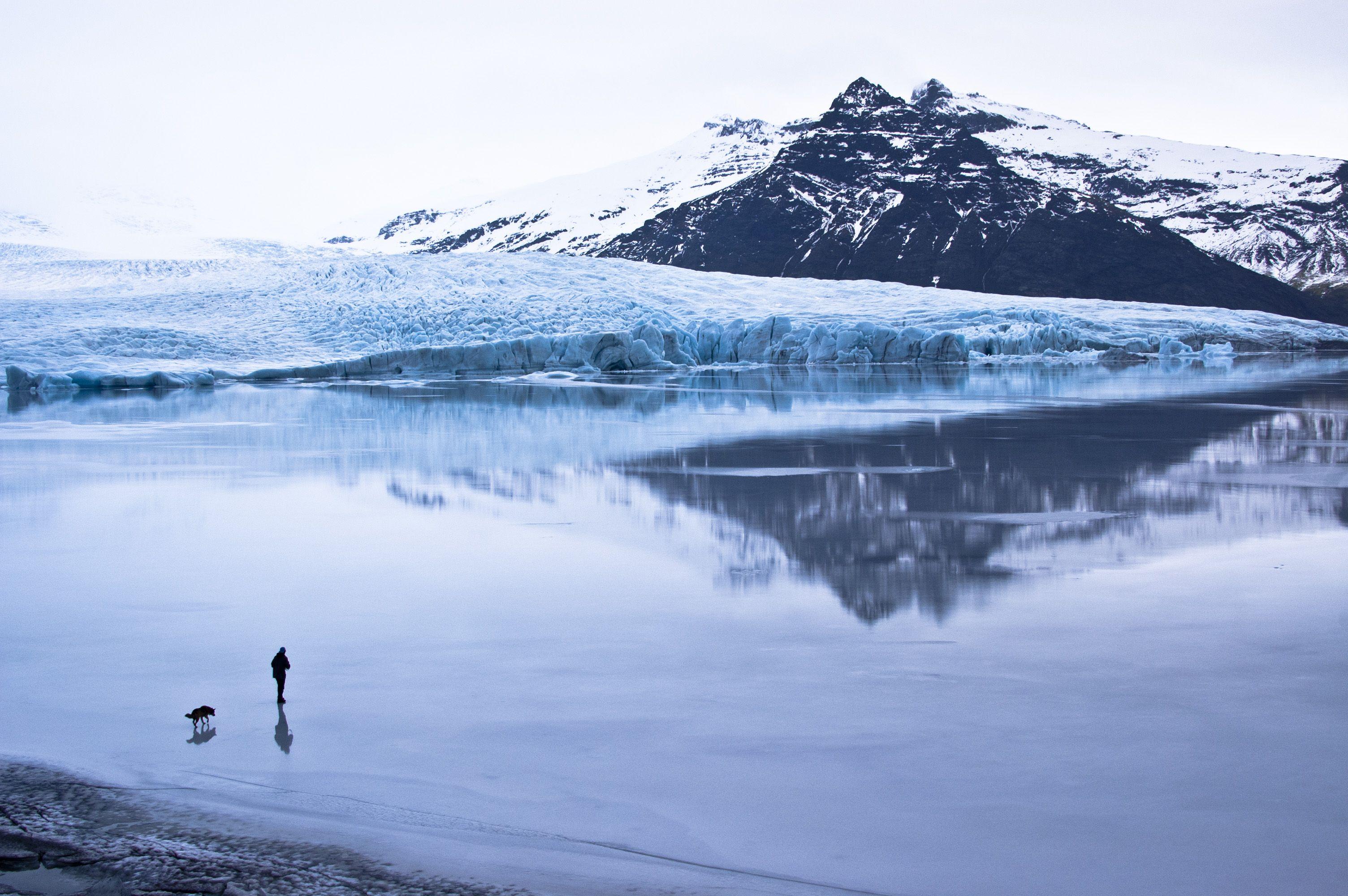 iceland big teddy