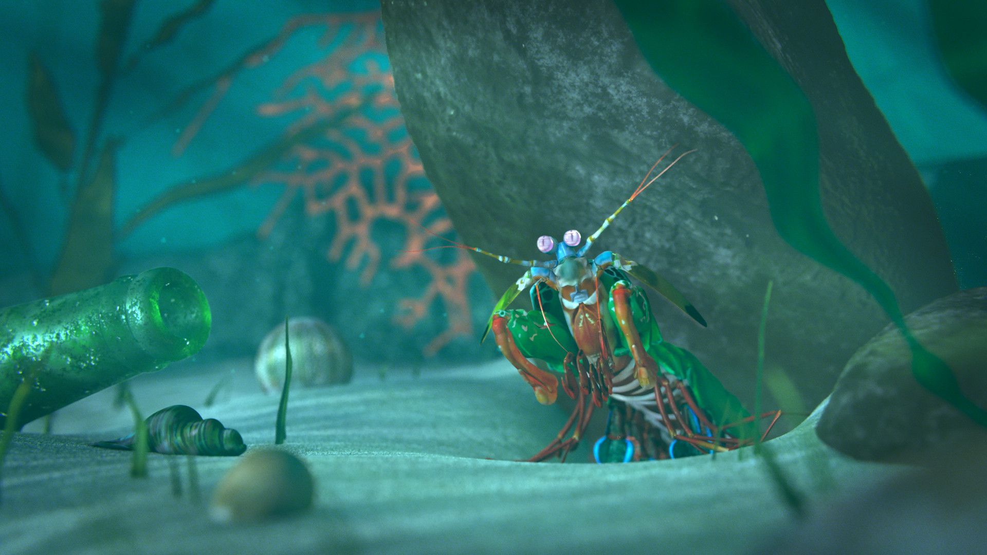 1920x1080 Mantis Shrimp Wallpaper