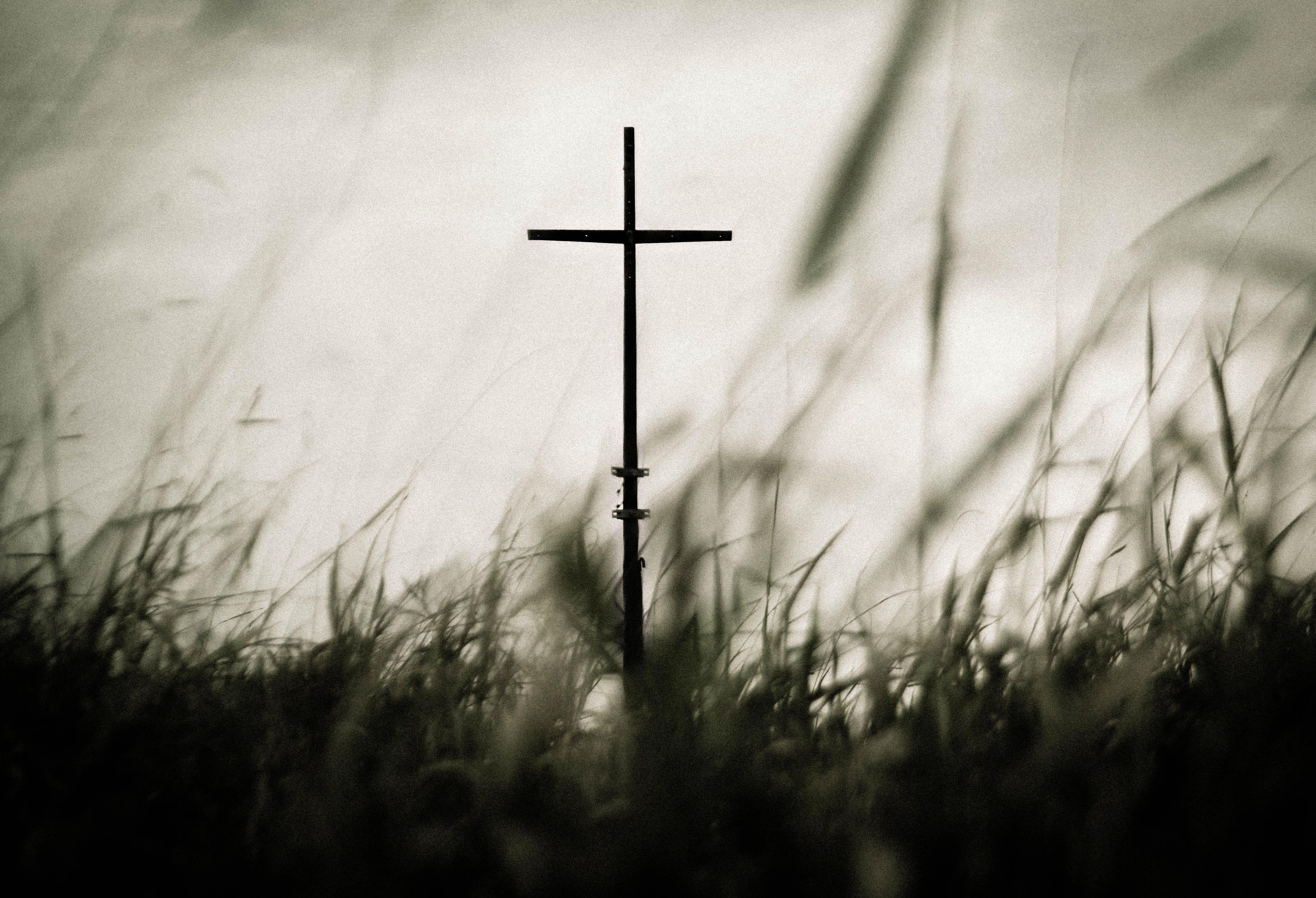 4869x3321 4869x3321 #cross, #forest, #tumblr, #christ