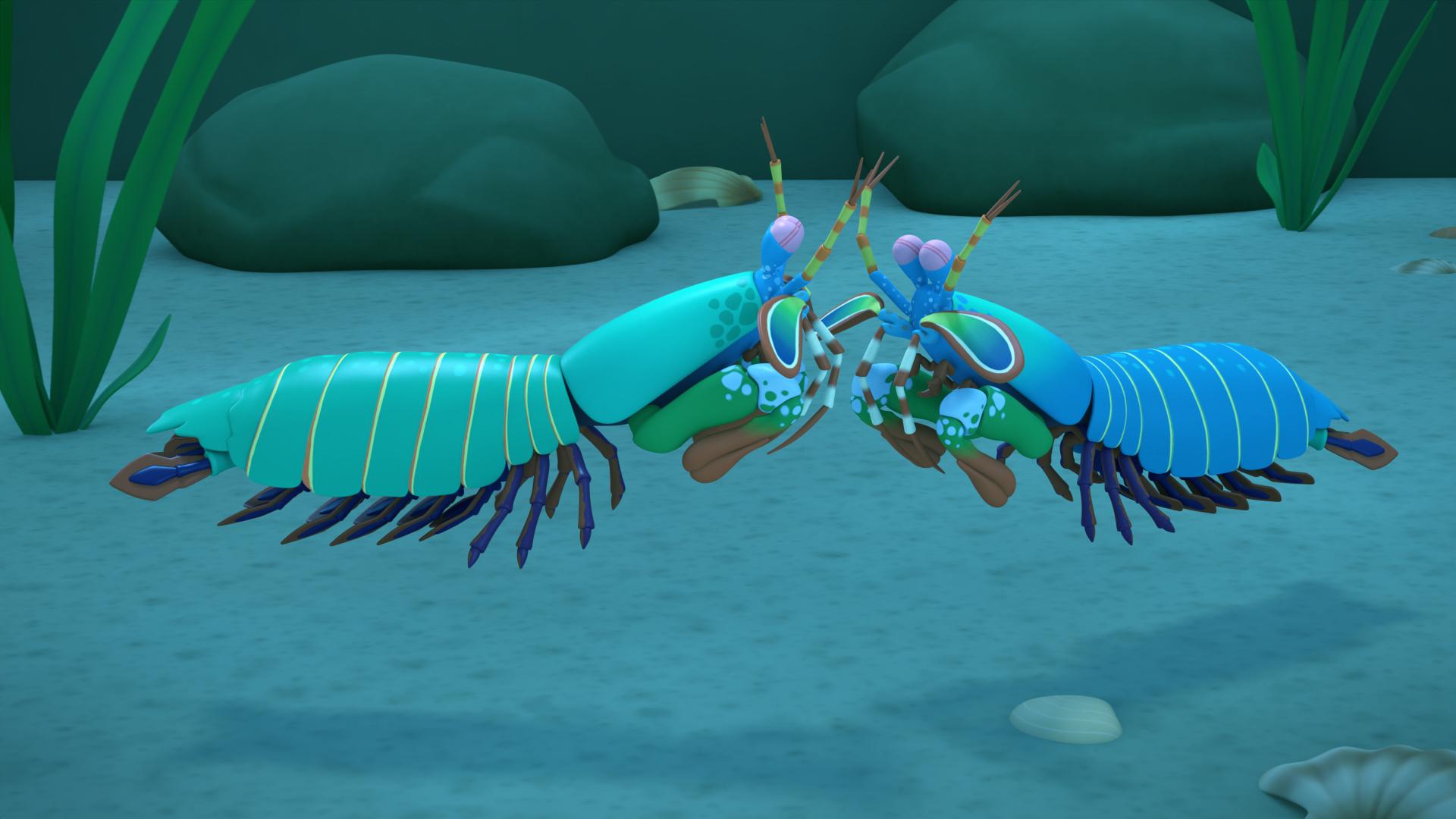 1920x1080 The Mantis Shrimp (2021)