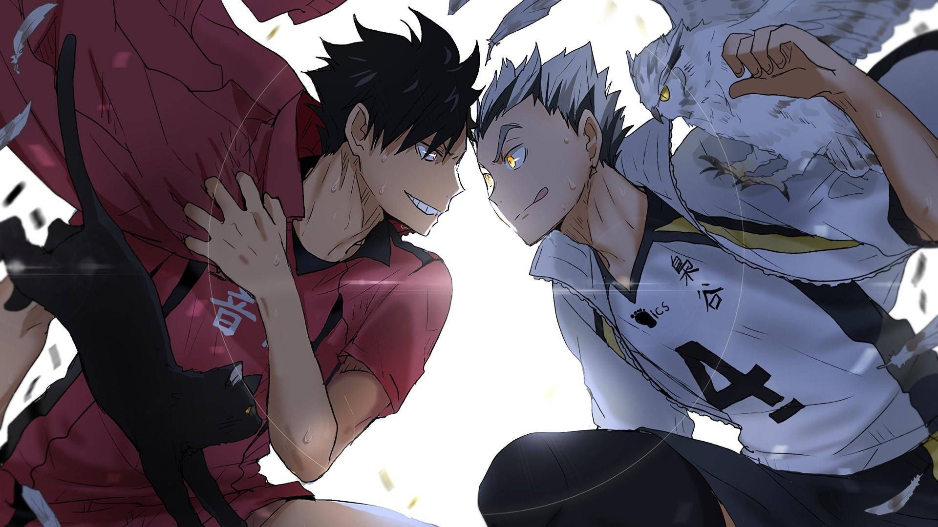 1920x1080 Download Haikyuu Wallpaper