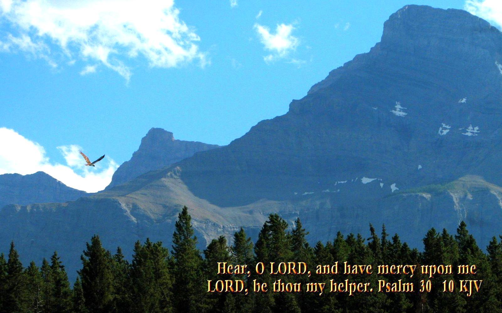 1600x1000 Large size Bible versed Scenic, Nature, wallpaper