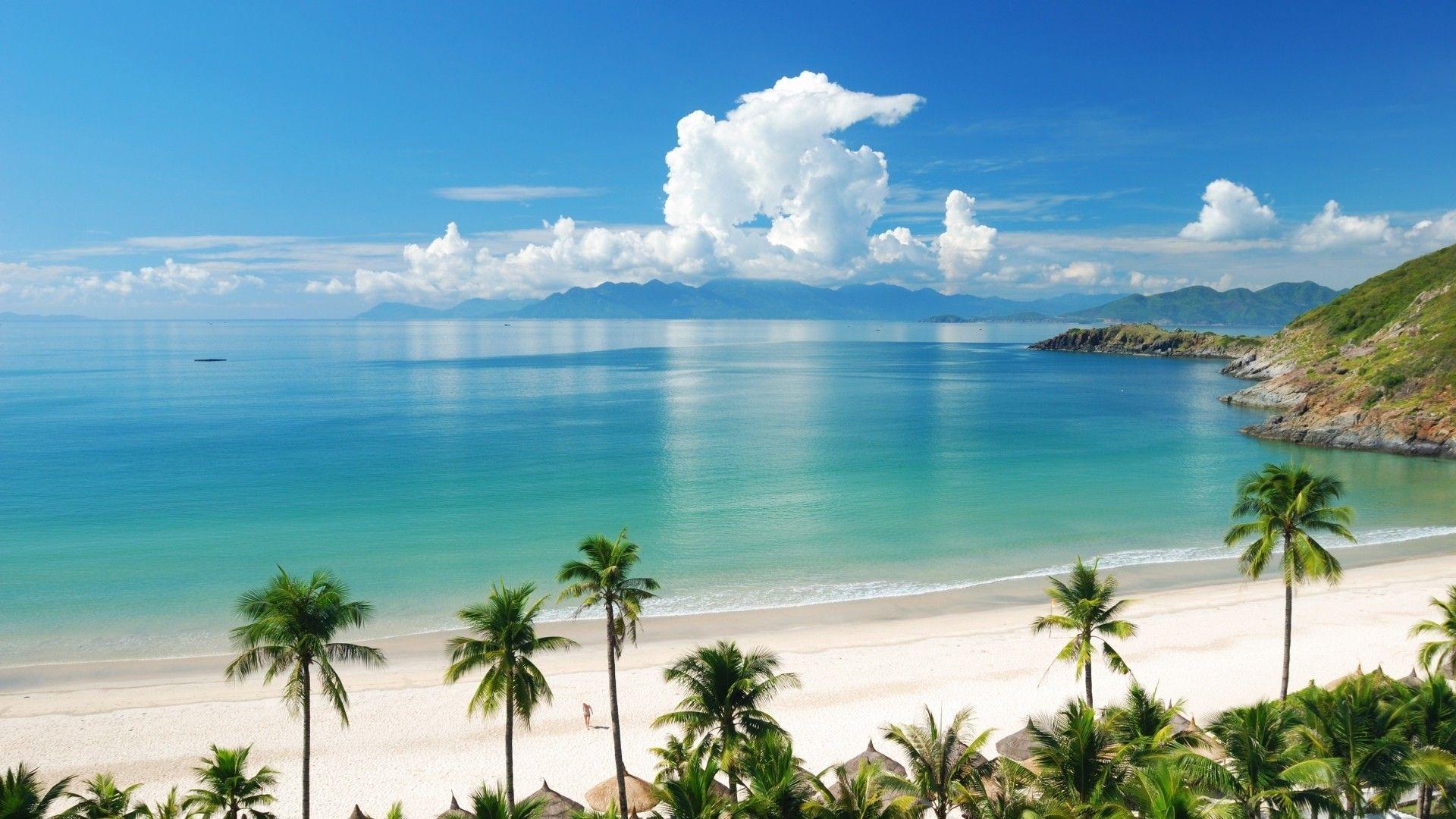 1920x1080 Beach Tropics Sea Sand Tree Full HD Wallpaper HD