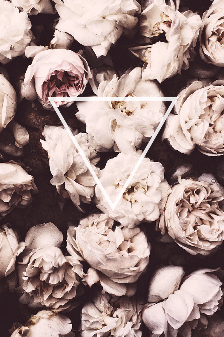 750x1125 roses #triangle #white #black #purple #oldrose #hipster #tumblr #background #wallpaper #phone #iphone #classy #simple #flower. Beautiful flowers, Floral, Flowers