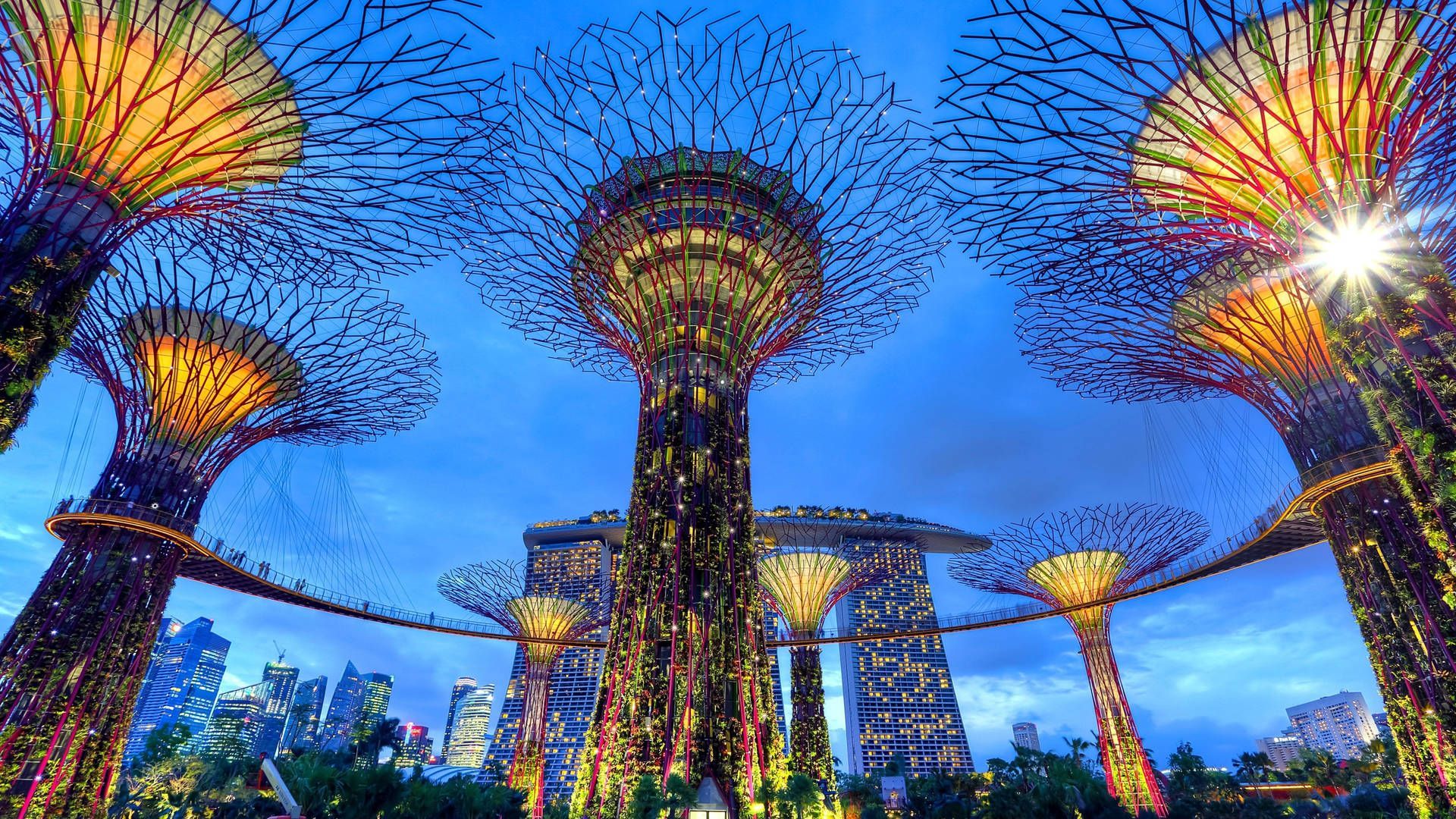 1920x1080 Garden By The Bay Singapore Wallpaper
