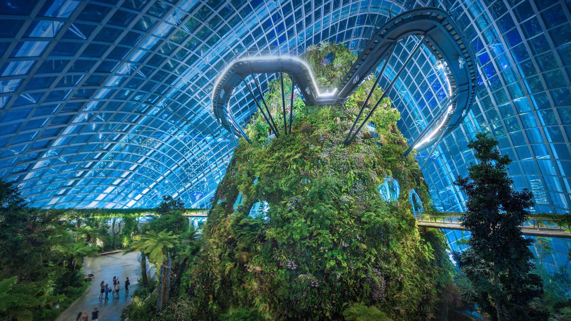 1920x1080 Bing image: Gardens by the Bay nature