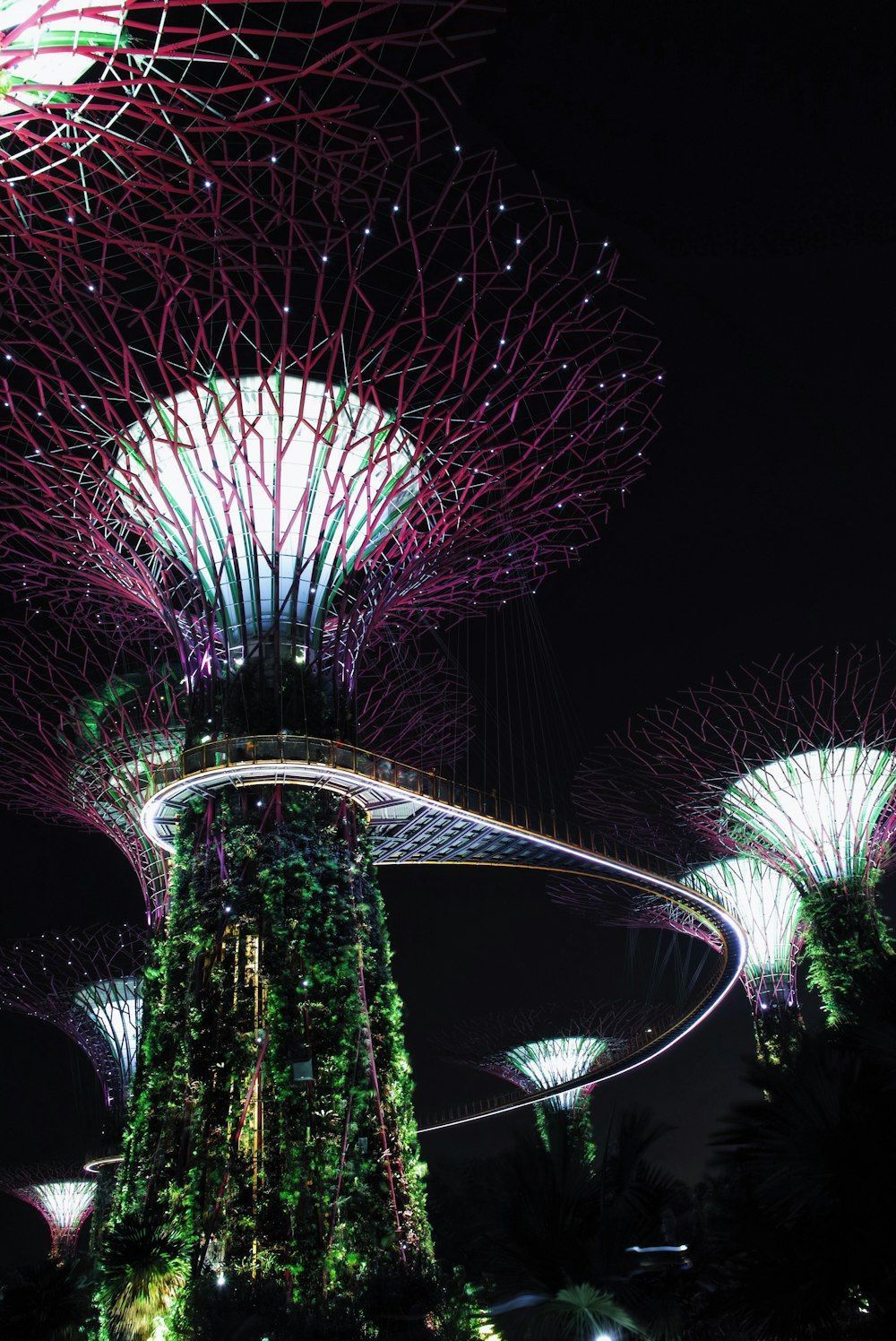 1000x1496 Gardens by the Bay, Singapore photo