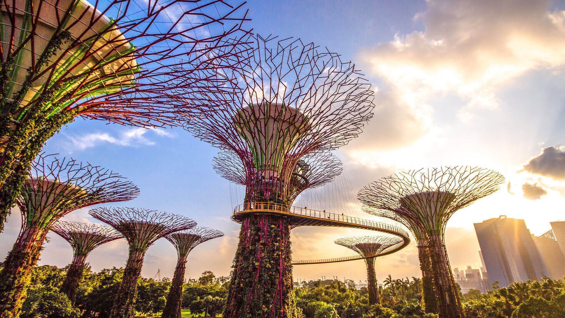 1920x1080 Gardens by
