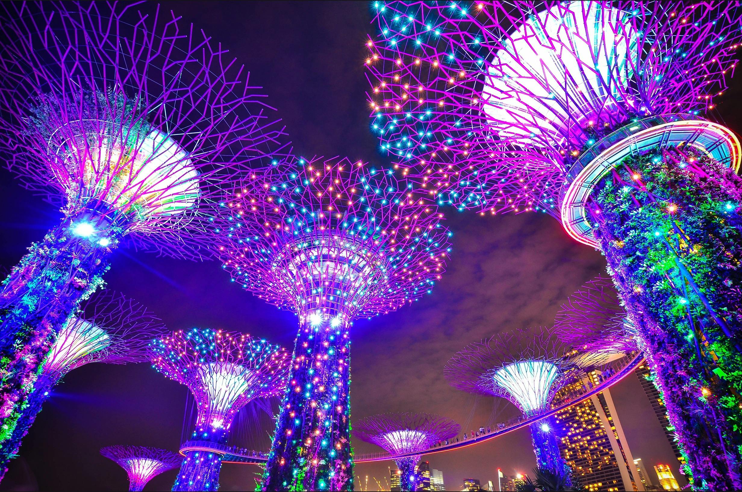 2464x1636 Gardens By The Bay Photo, Download