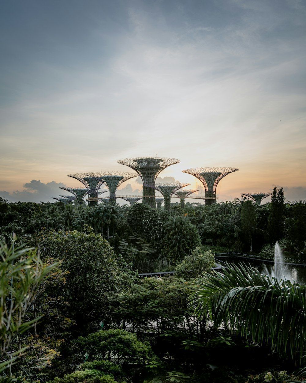 1000x1250 Garden By The Bay Picture. Download