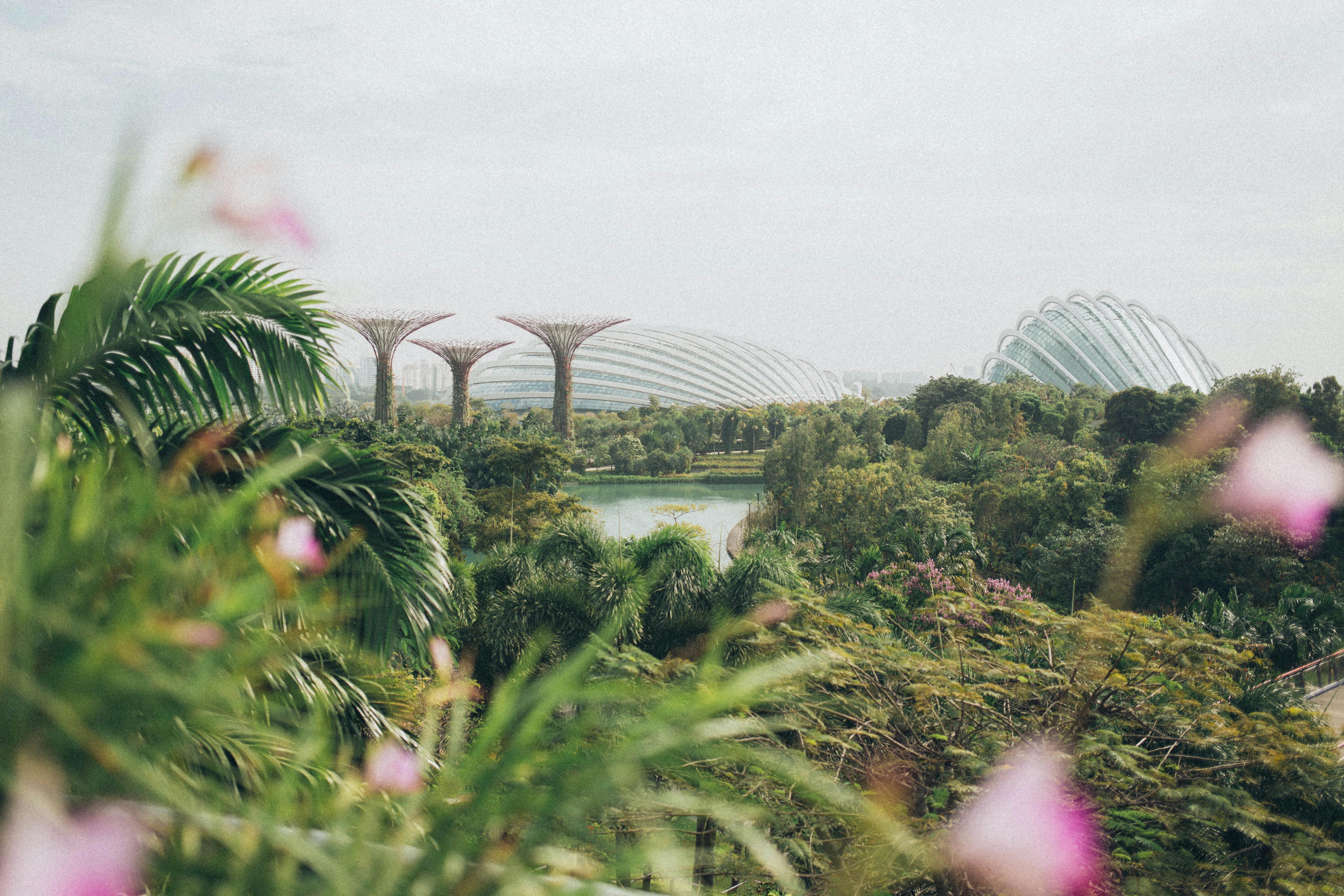 5760x3840 Gardens By The Bay Photo, Download