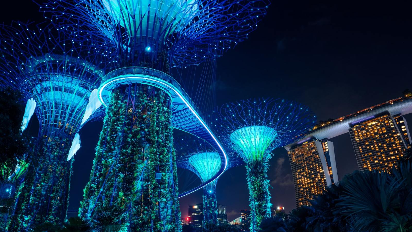 1600x900 Light Show At Gardens By The Bay