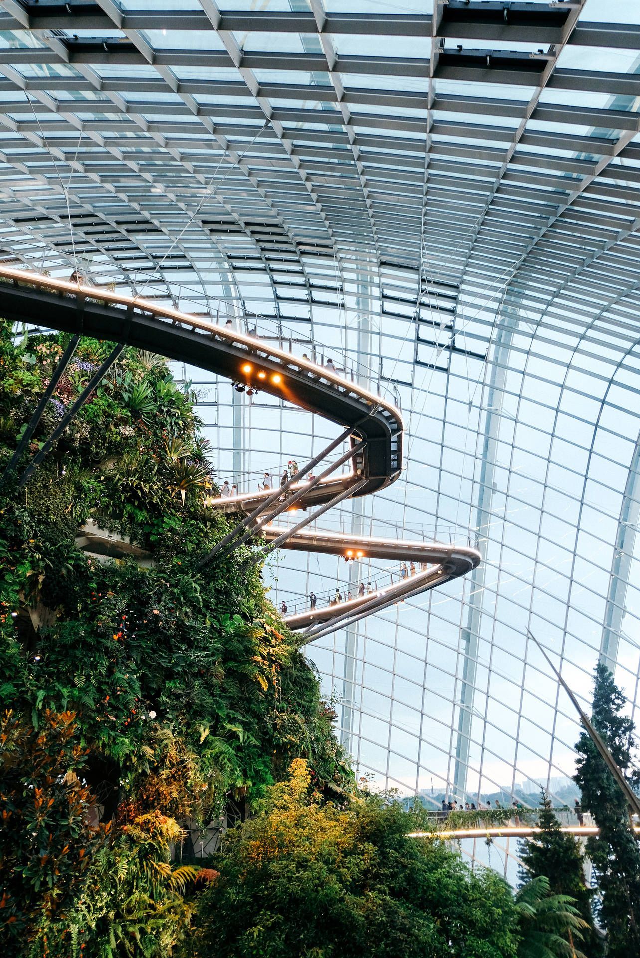 1283x1920 Flower Dome In Singapore Wallpaper