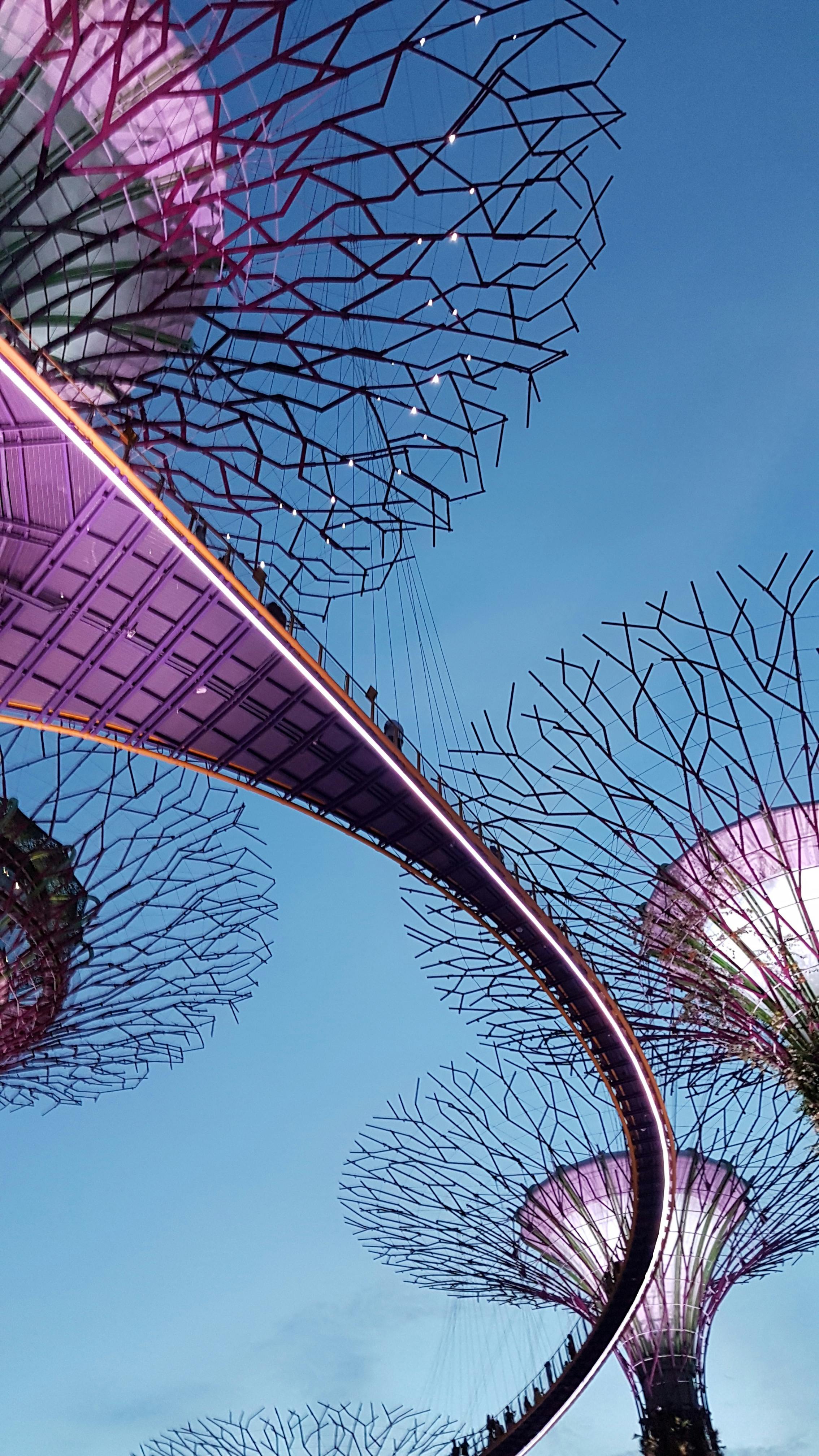 2268x4032 Gardens By The Bay Photo, Download