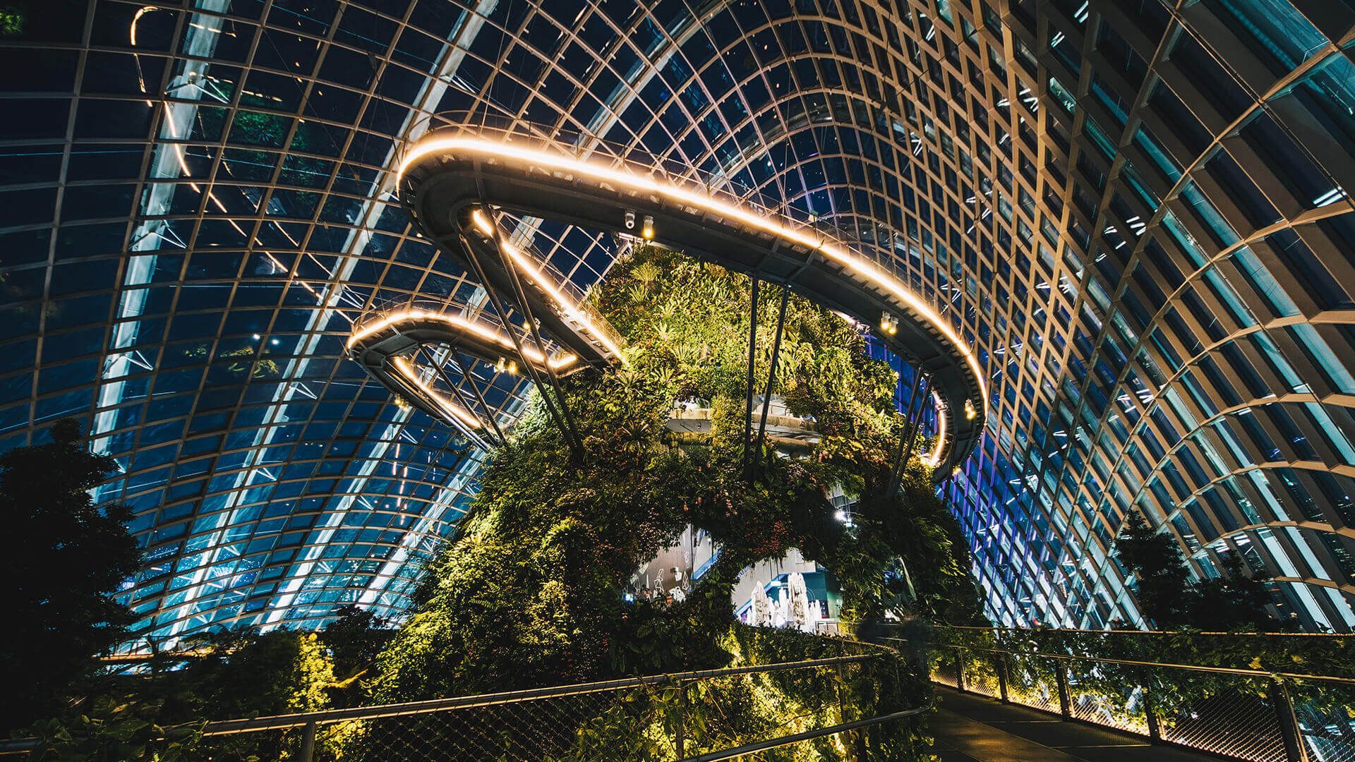1920x1080 Cloud Forest