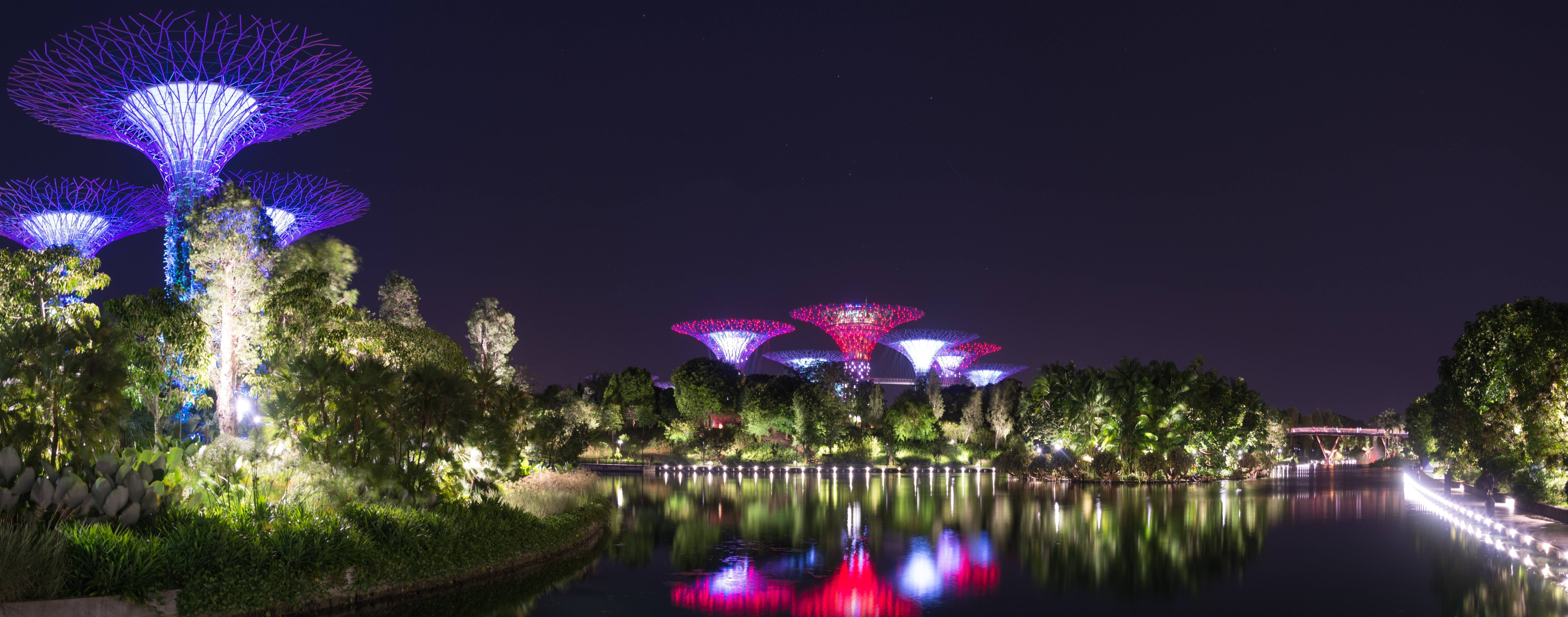 8021x3156 Gardens By The Bay 4K wallpaper
