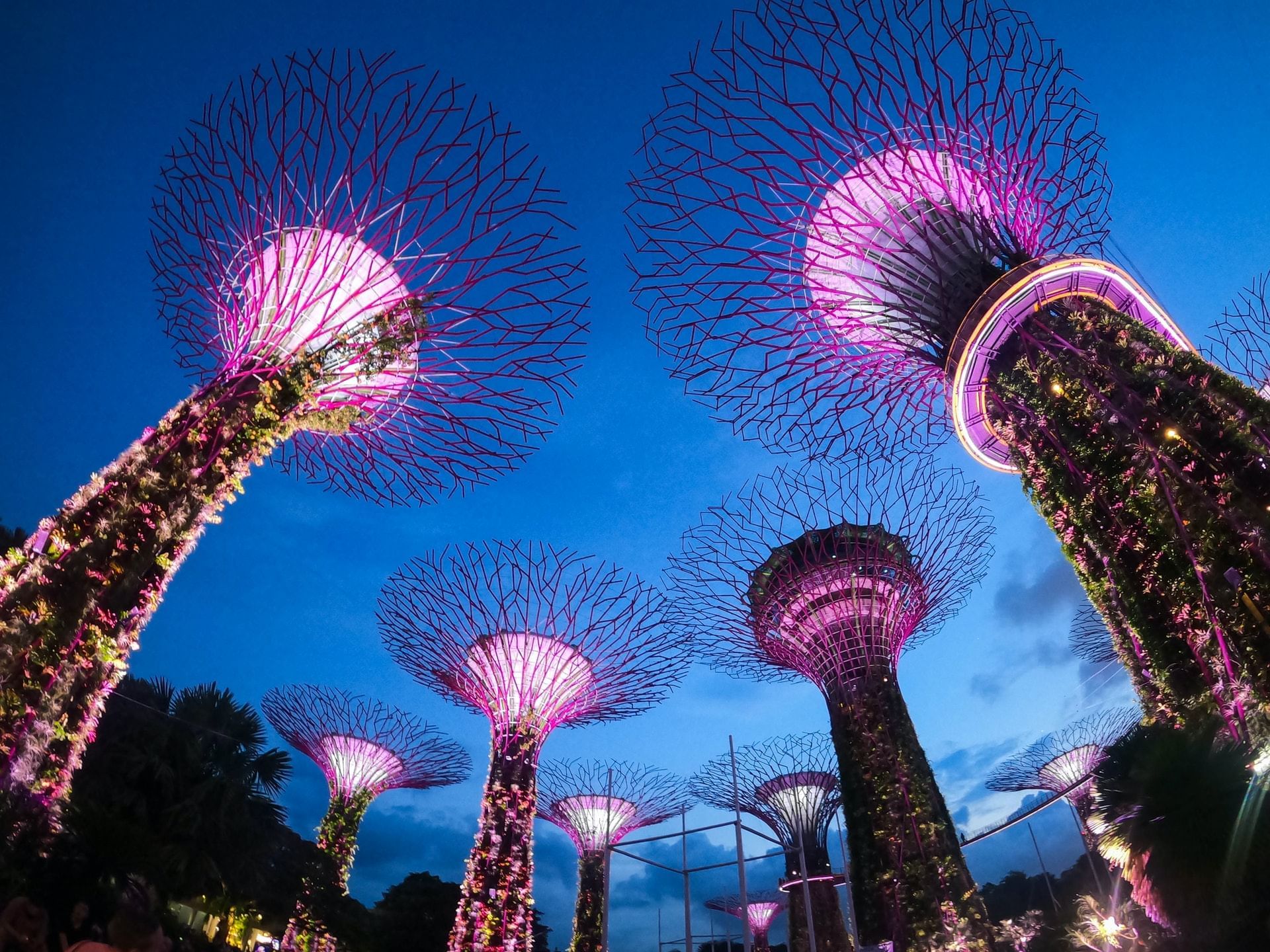 1920x1440 Gardens