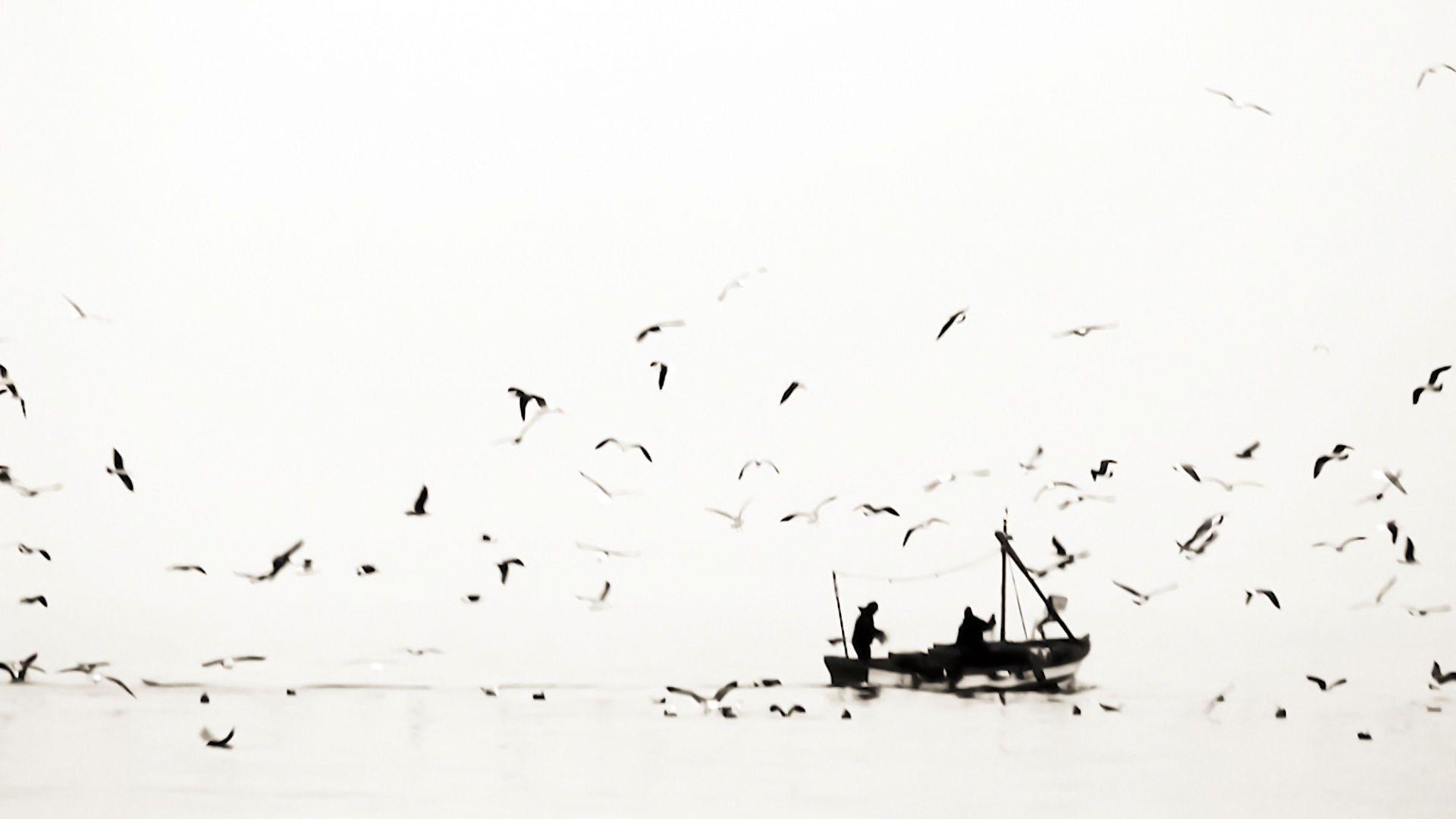 1920x1080 Black and White Wallpaper HD free download