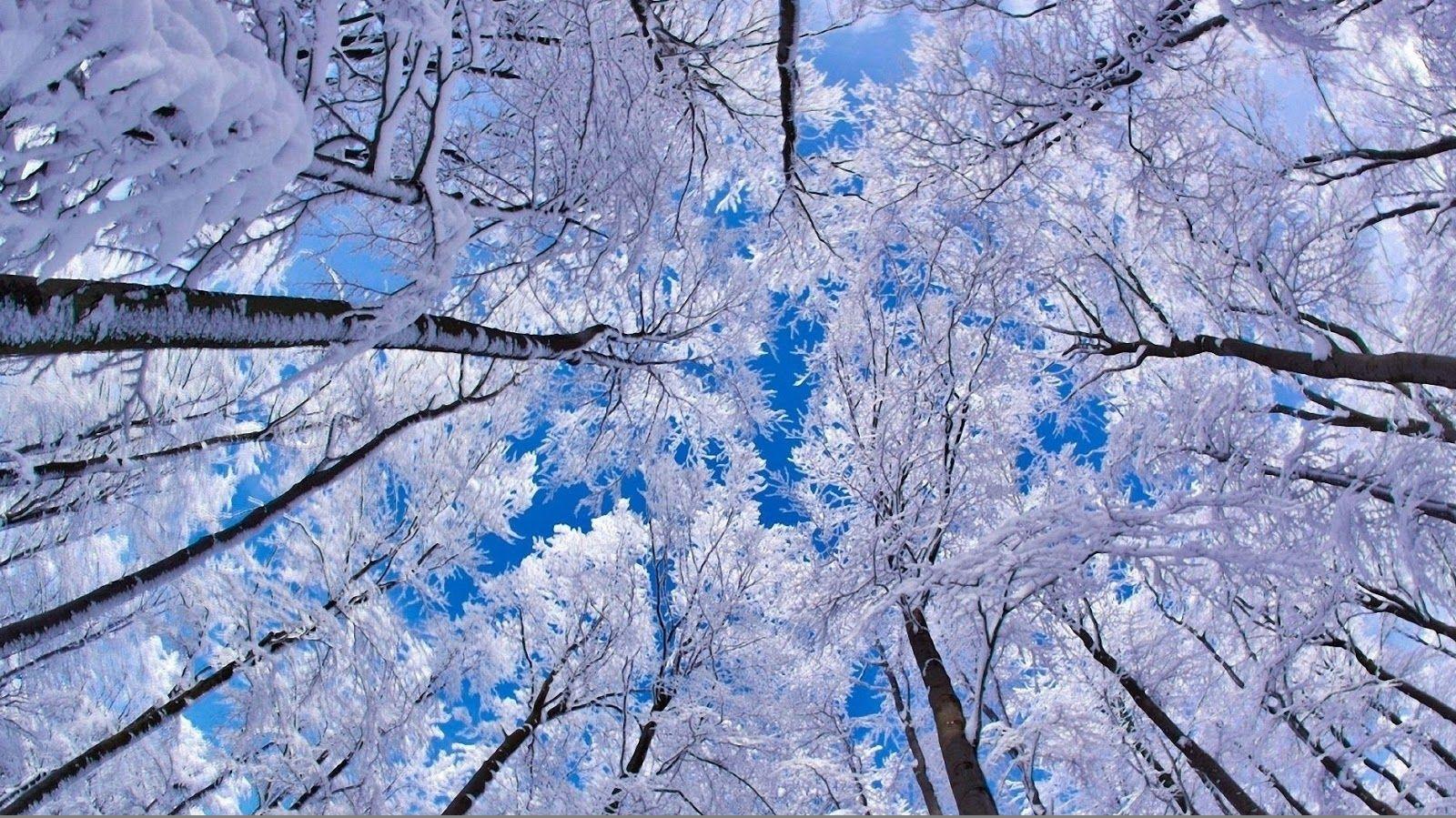 1600x899 Winter Sky