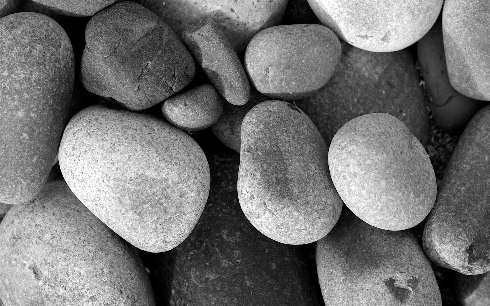 1680x1050 Free Black And White Photo, Download Free Clip Art, Free