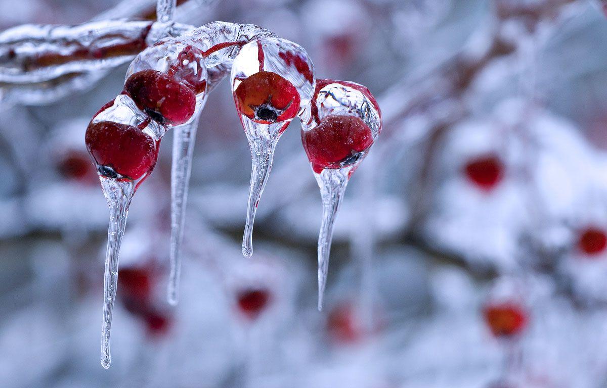1200x768 Winter Photographs Wallpaper