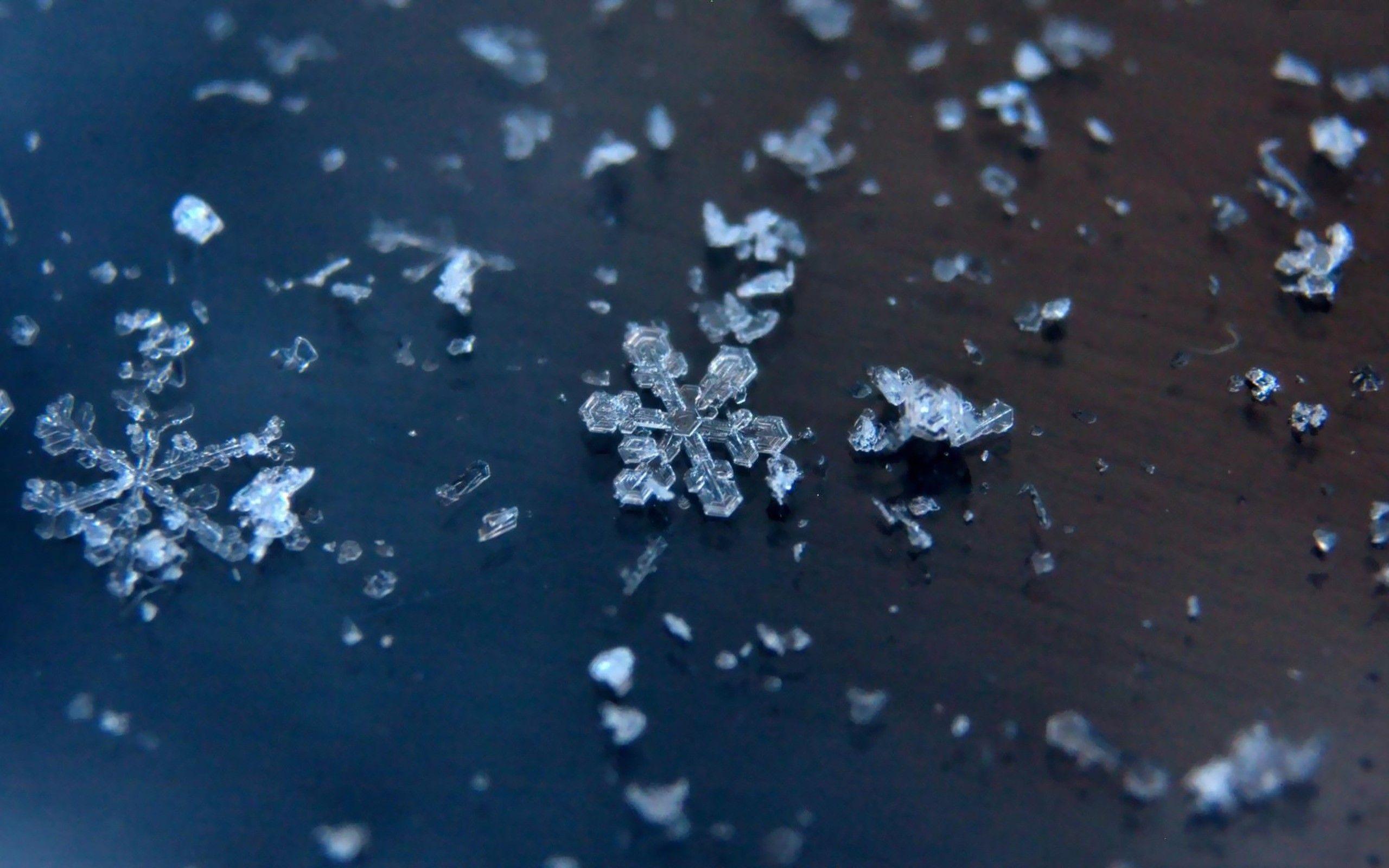2560x1600 snow, photography, snowflakes wallpaper