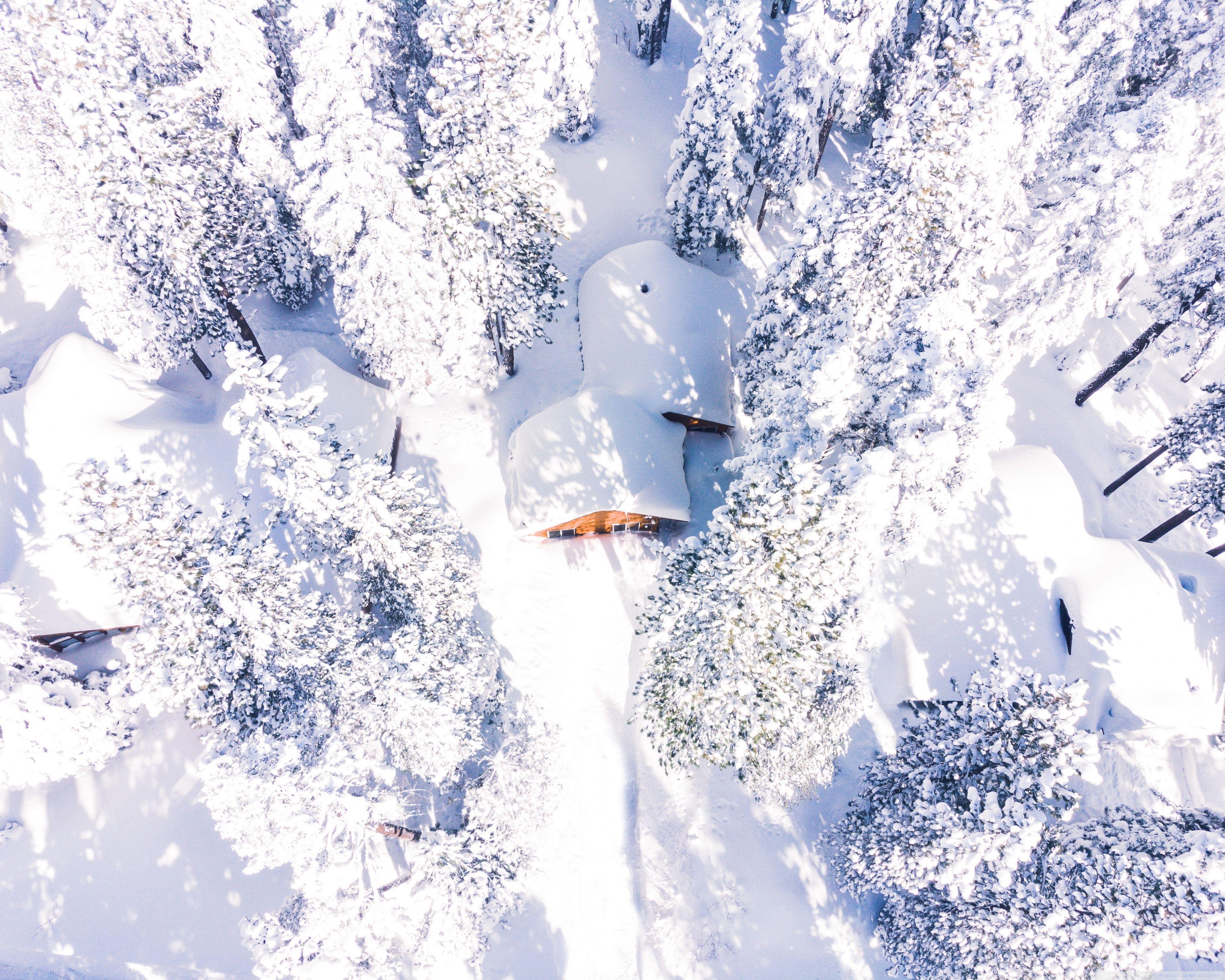 3750x3000 Drone Photography Winter Snow Forest Landscape ❤ 4K HD