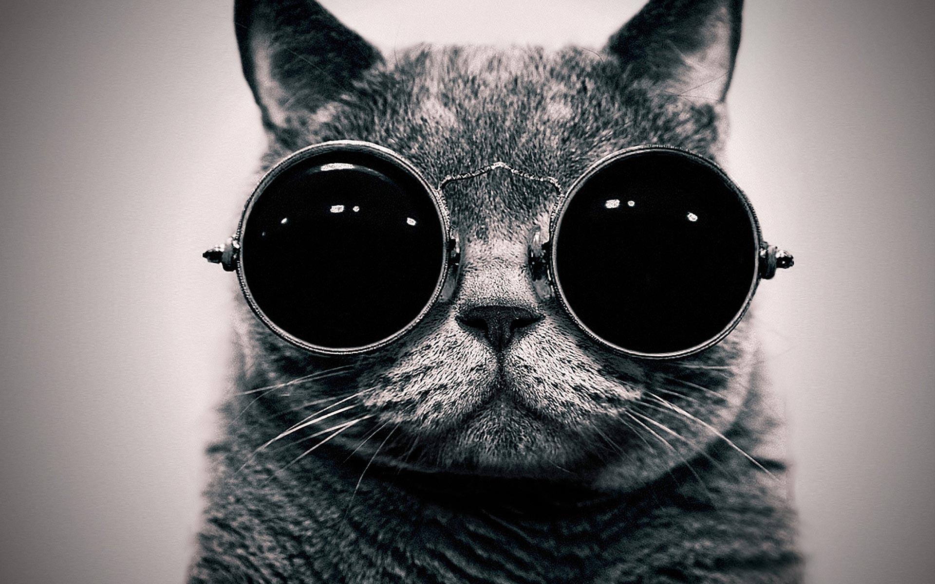 1920x1200 Indie Wallpaper Free Download