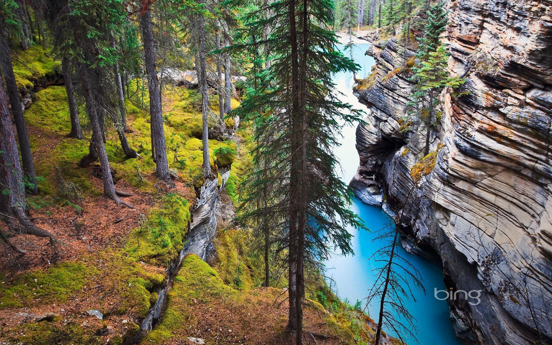 Bing Nature Desktop Wallpapers Top Free Bing Nature Desktop Bing Nature Desktop Wallpapers Top Free Bing Nature Desktop
