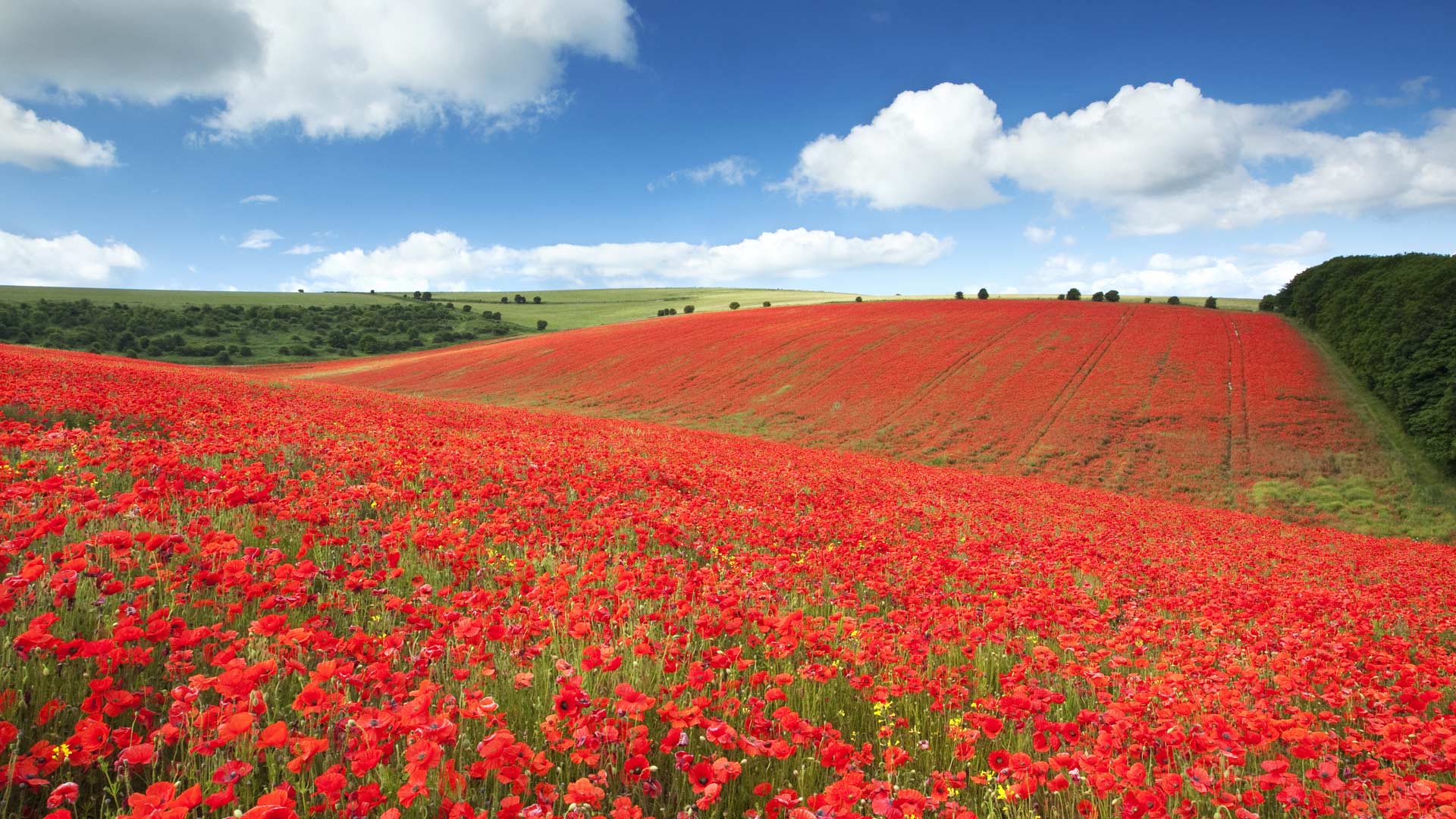 Bing Spring Wallpapers - Top Free Bing Spring Backgrounds - WallpaperAccess Bing Spring Wallpapers - Top Free Bing Spring Backgrounds - WallpaperAccess