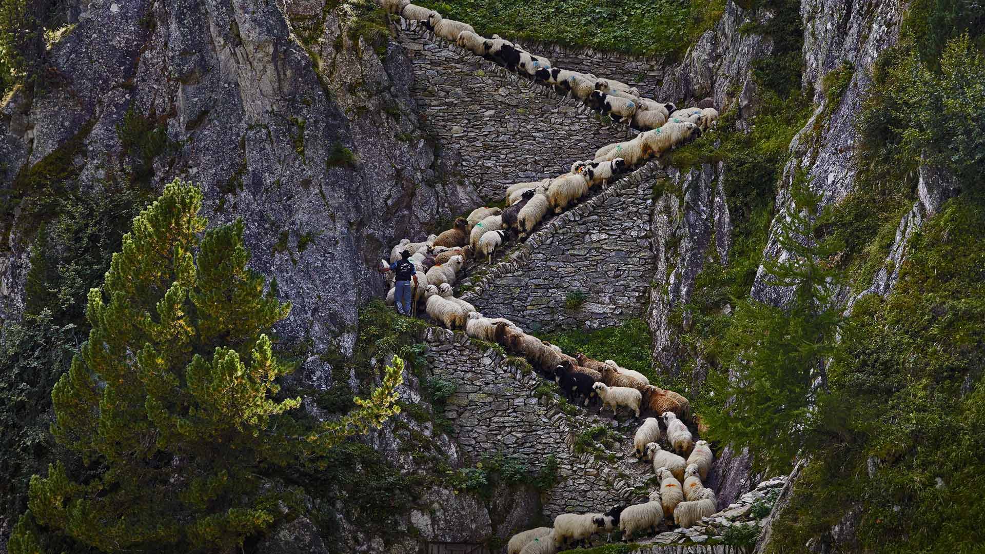 1920x1080 Bing Desktop Wallpaper 08 - [1920 x 1080]