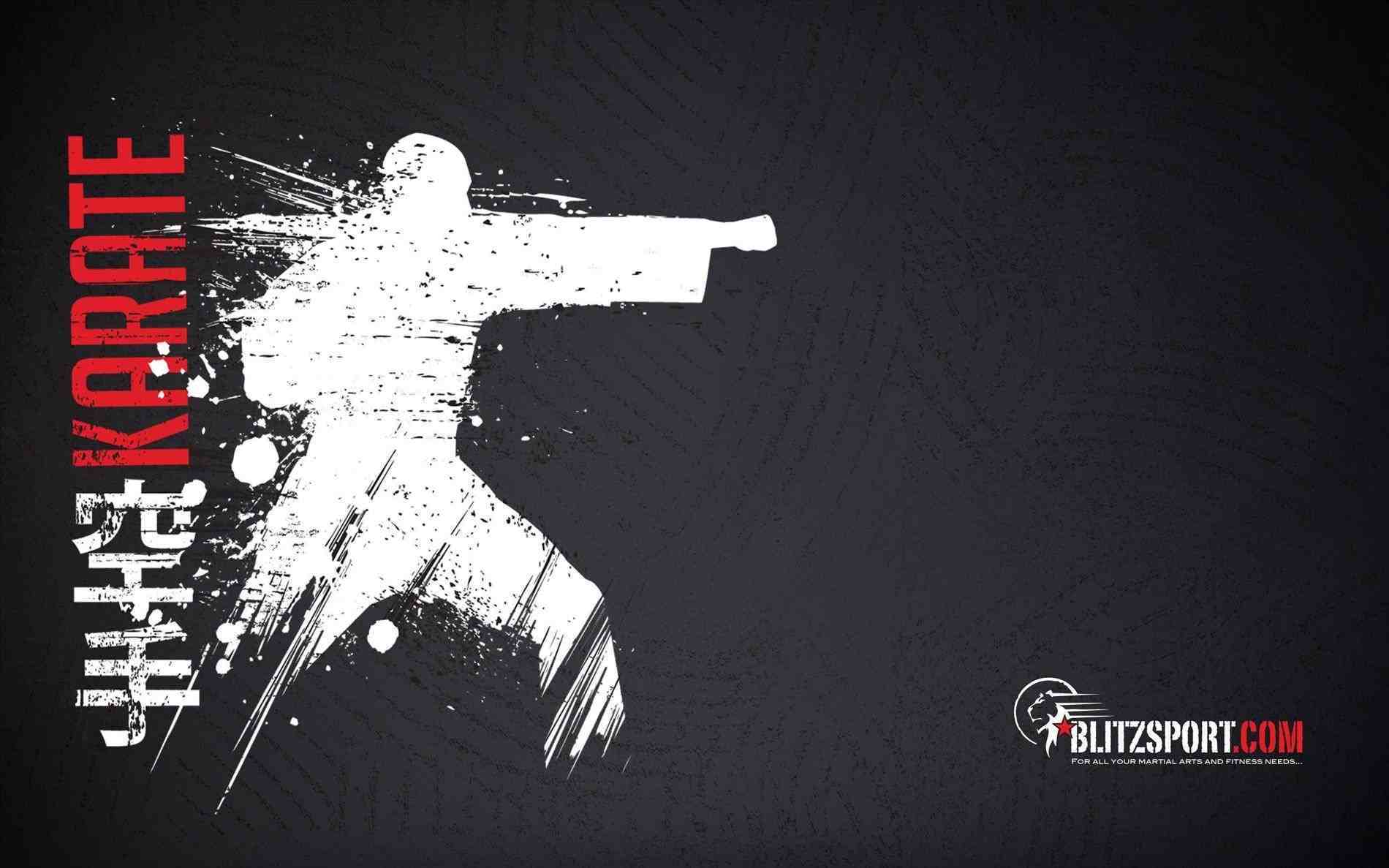 1900x1187 Fight fighter fist bw HD picture imagerhwallpapercraftcom blitz